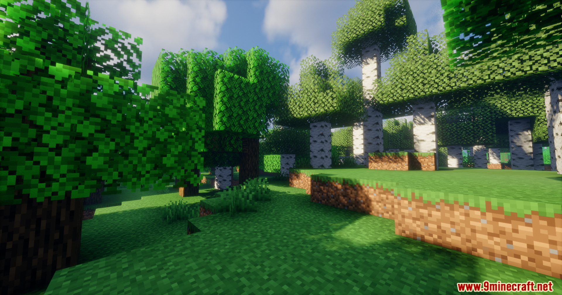 Arda Regions Mod Screenshot 6 A bright Minecraft forest scene featuring birch trees and green grass
