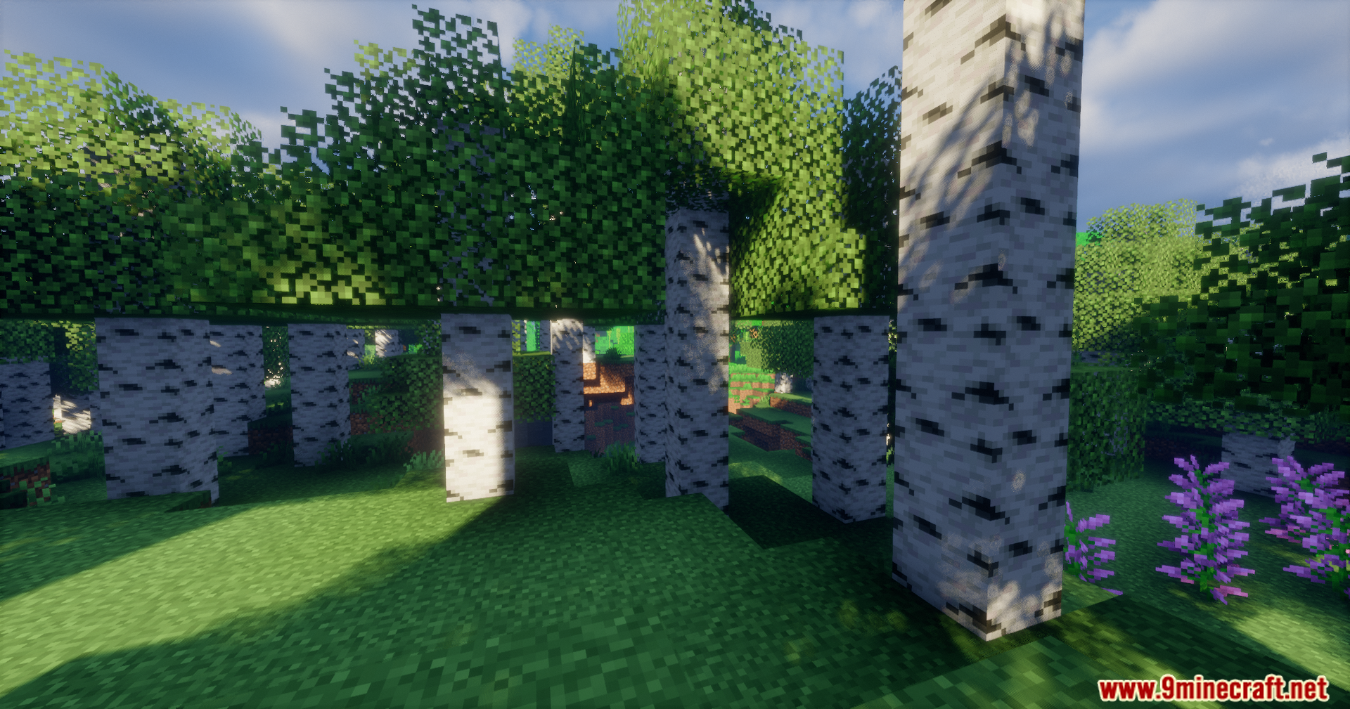 Arda Regions Mod Screenshot 7 Scenic birch forest biome with realistic lighting showing trees grass and purple flowers