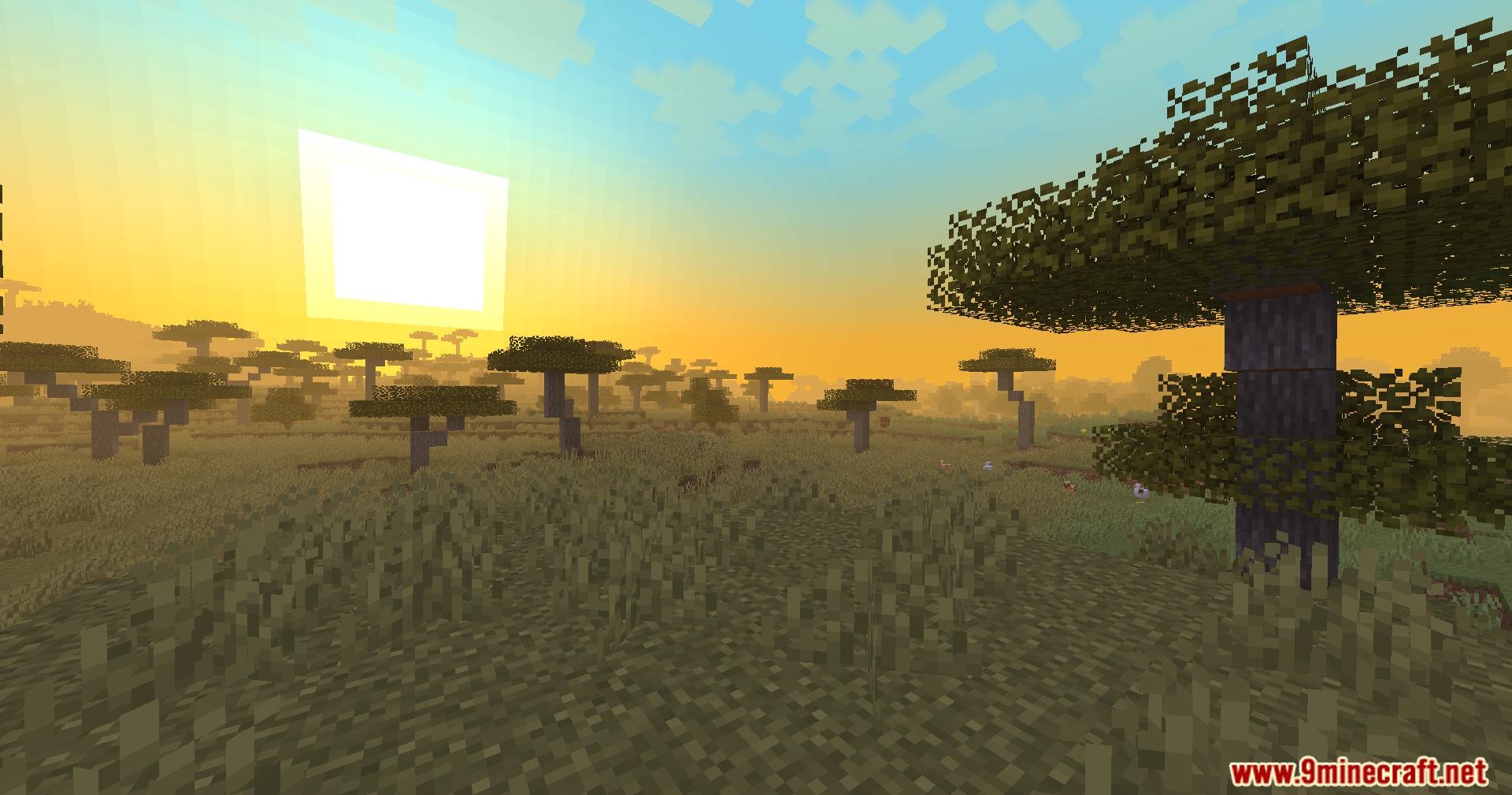 A vibrant Minecraft savanna biome with acacia trees under a bright orange sky