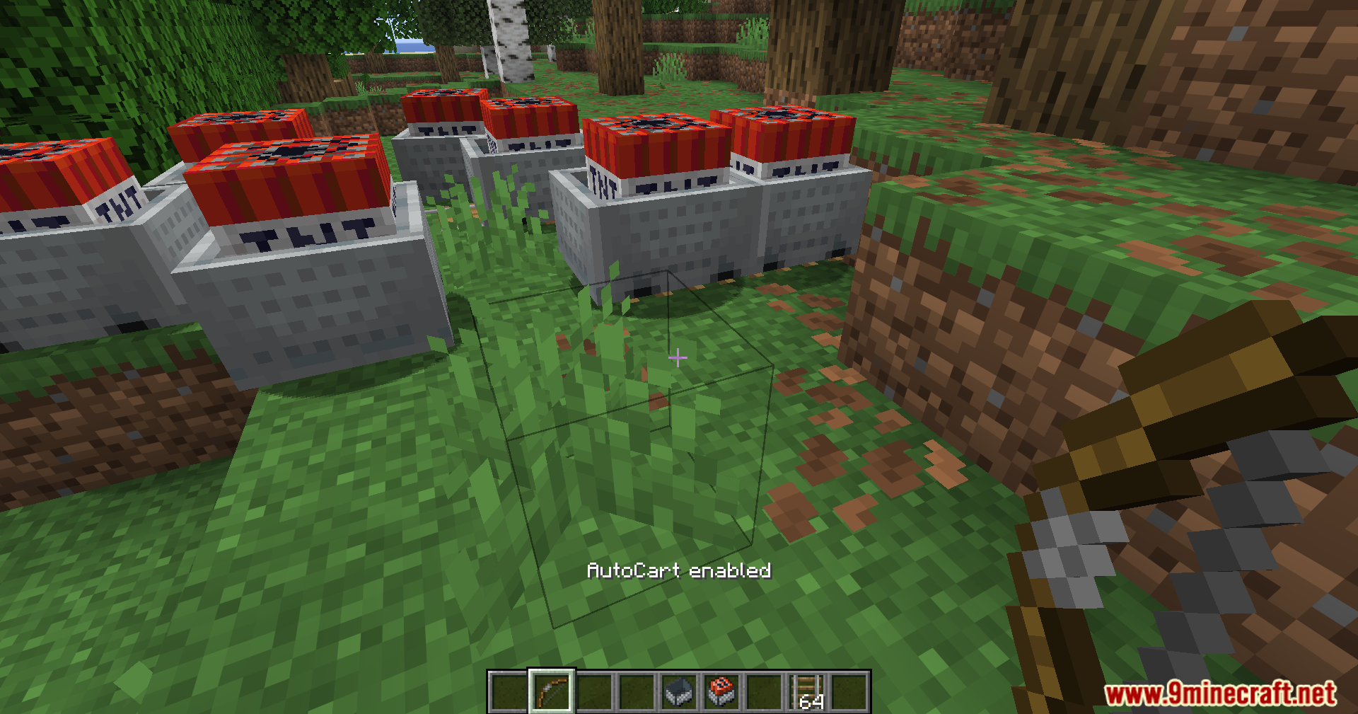 A long line of TNT minecarts placed in a forest
