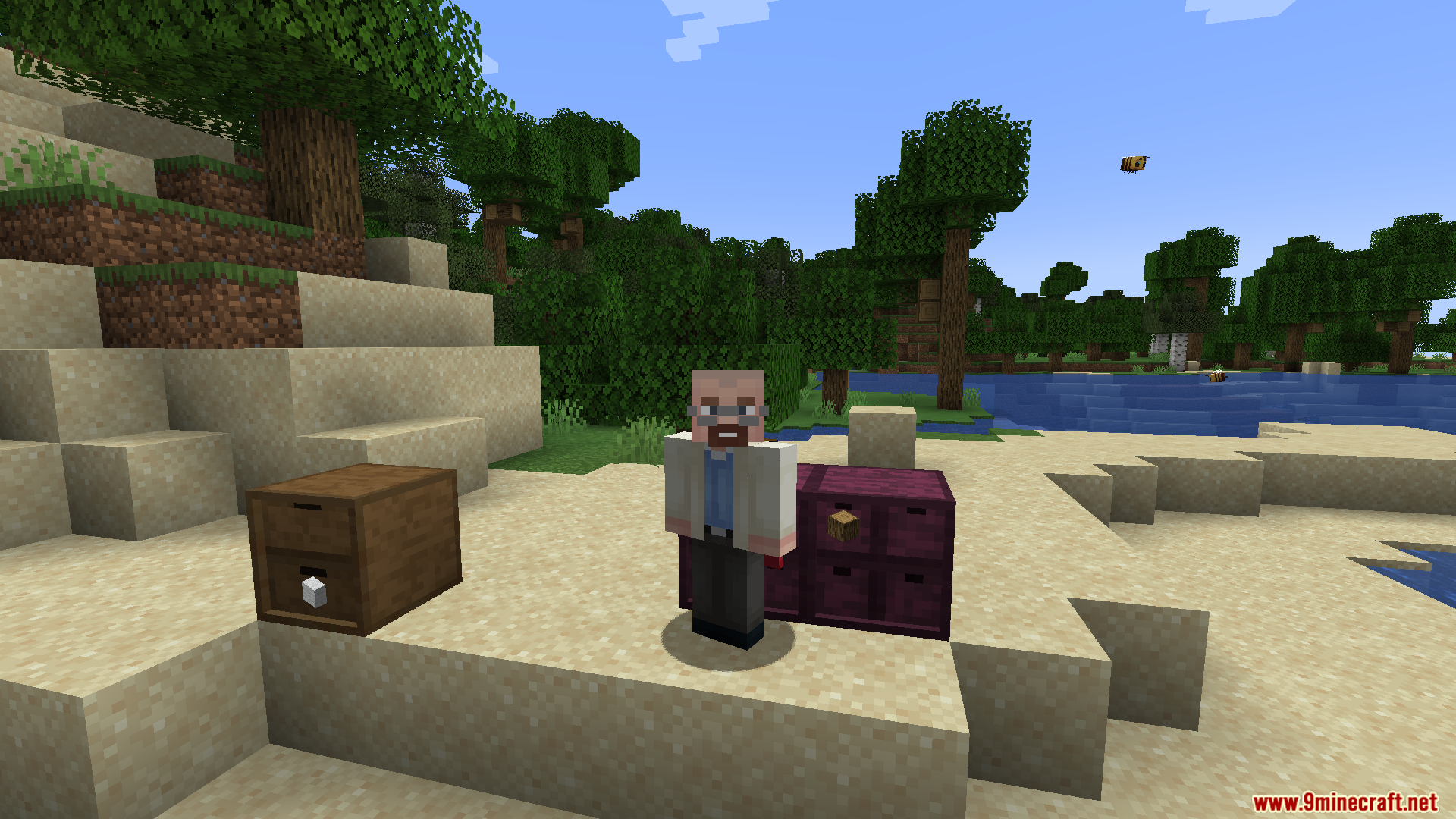BBL Fixes Mod Screenshot 9 Minecraft player standing between storage drawers patched by the BBL Fixes Mod