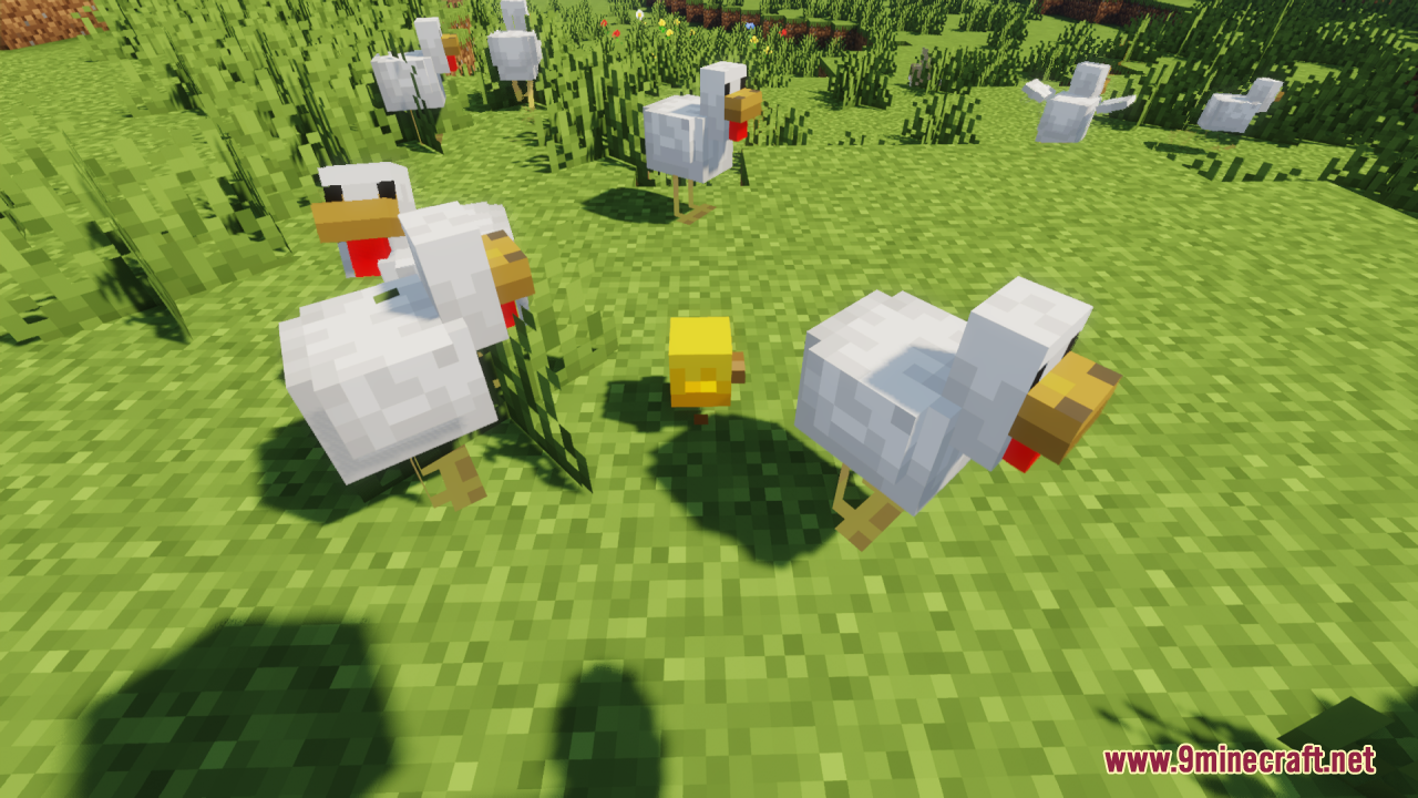 Baby Mobs Resource Pack Screenshot 1 A tiny yellow baby chicken stands between adult chickens in a grassy field