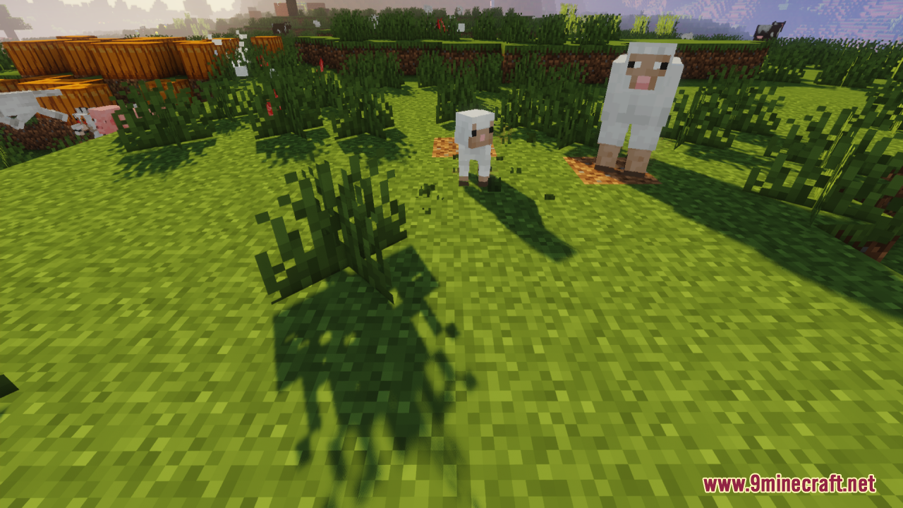 Baby Mobs Resource Pack Screenshot 12 A baby sheep and an adult sheep standing near pumpkins on the grass