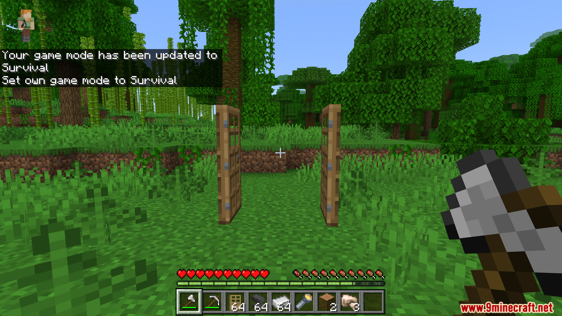 Bedrock Essentials+ Addon Screenshot 12 Opening one door will automatically open the other one beside it