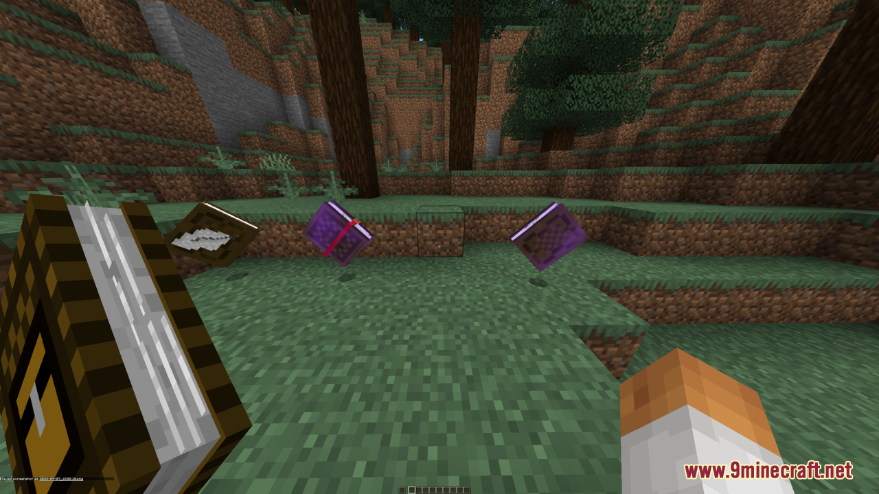 Better Books Resource Pack Screenshot 3 Player holding a thick book near dropped thick books on the grass