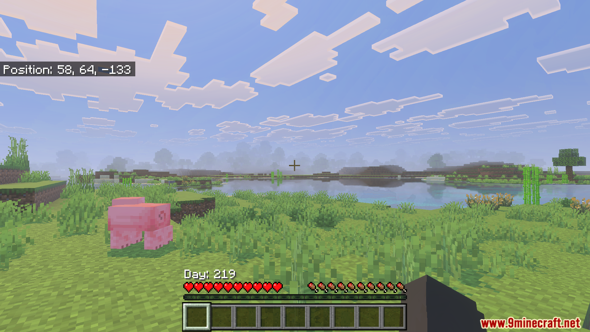 The addon moves day count and coordinates above the hotbar