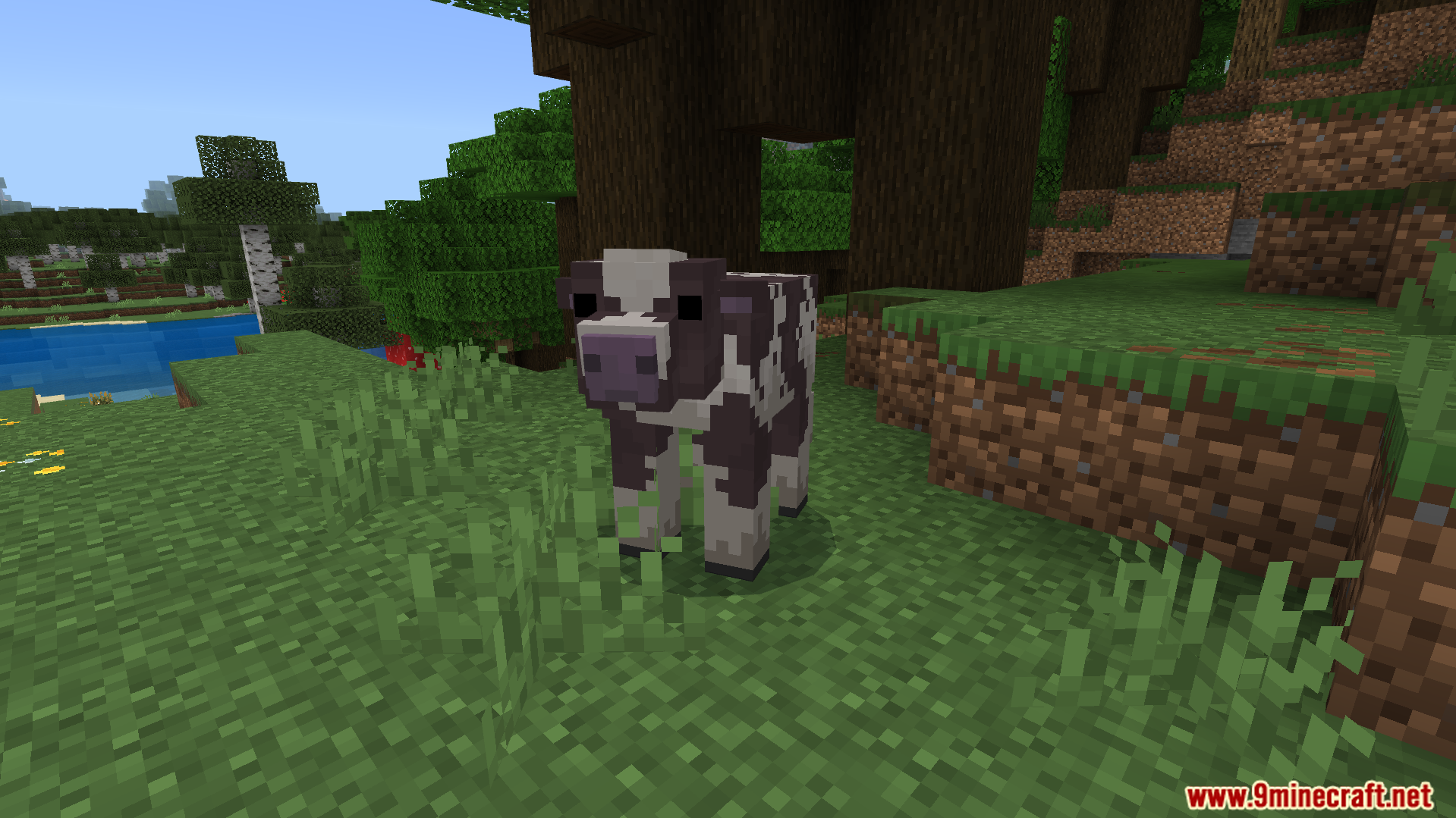 Better Farm Animals Texture Pack Screenshot 2 cow with a realistic custom model and new texture standing on grass