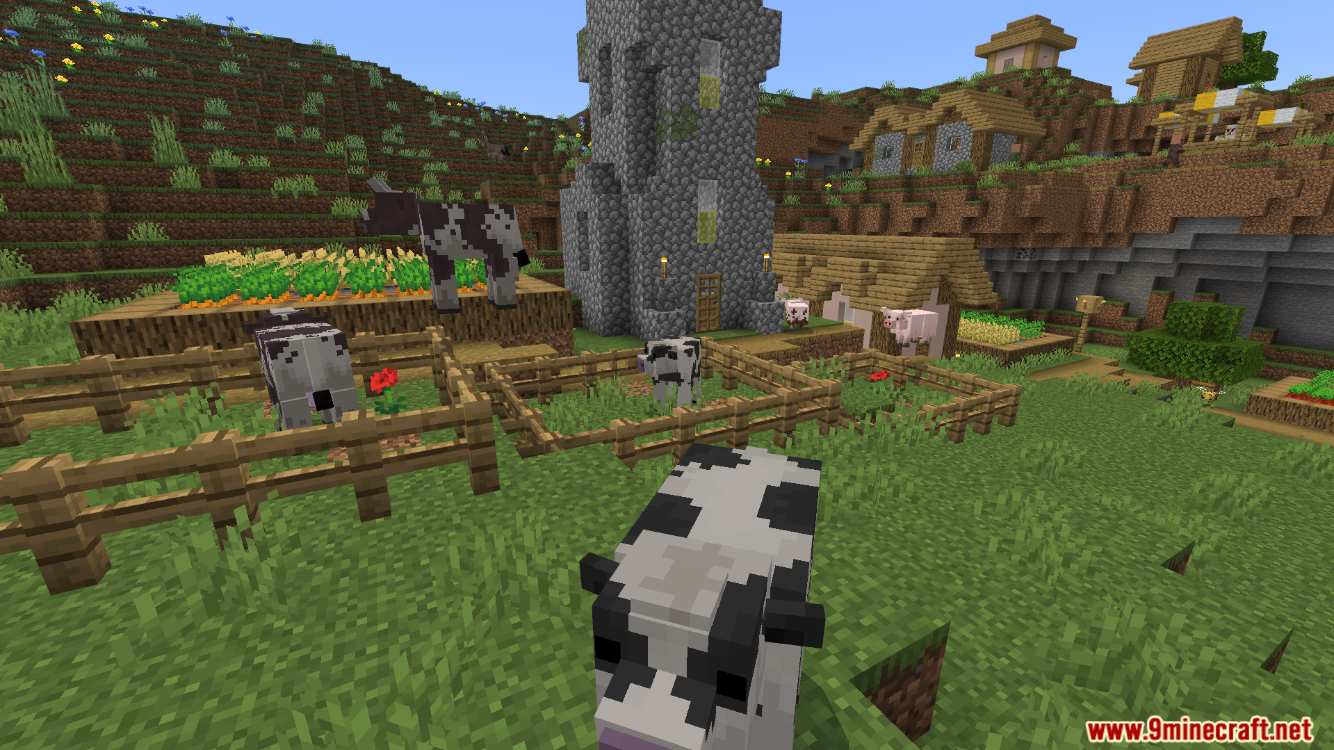 Better Farm Animals Texture Pack Screenshot 3 Custom cow models with realistic textures roaming around a fenced village farm area