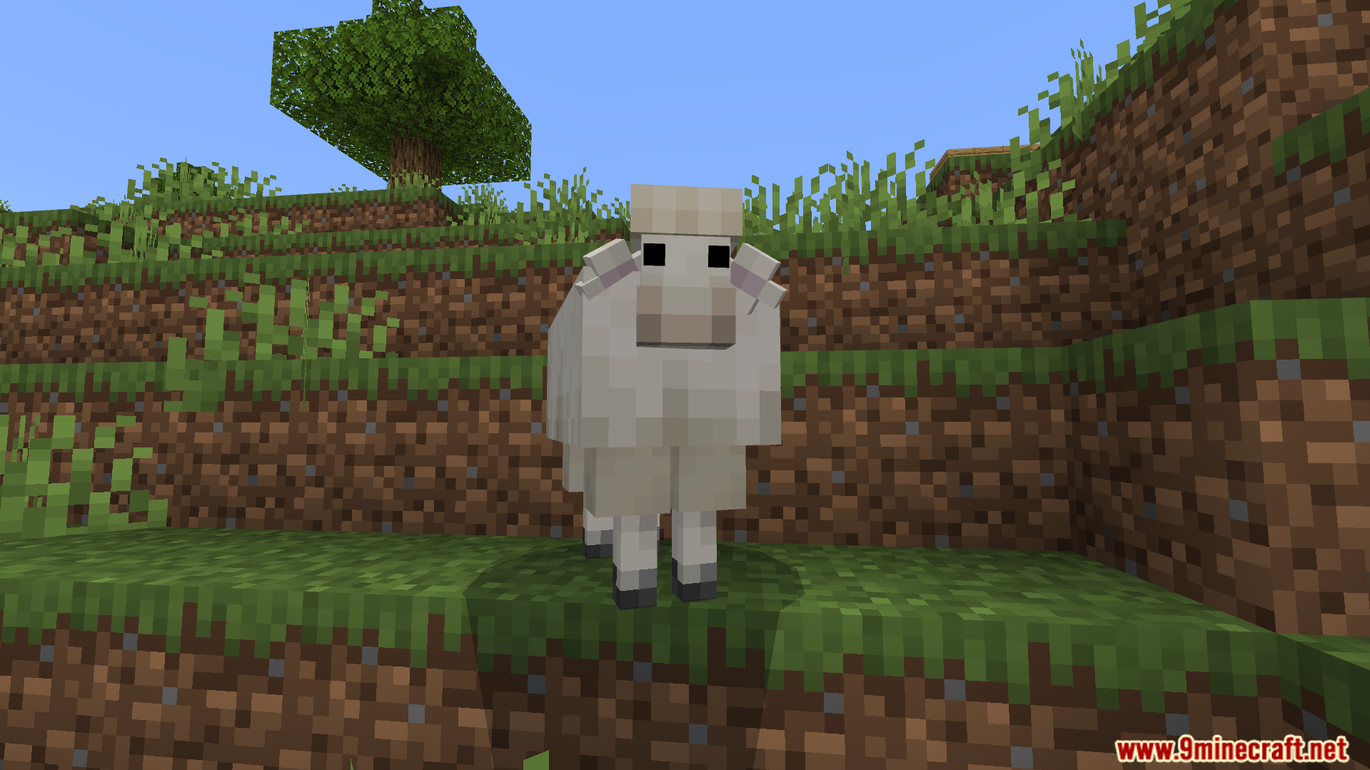 Better Farm Animals Texture Pack Screenshot 4 White sheep with an updated realistic custom model standing on a grass block