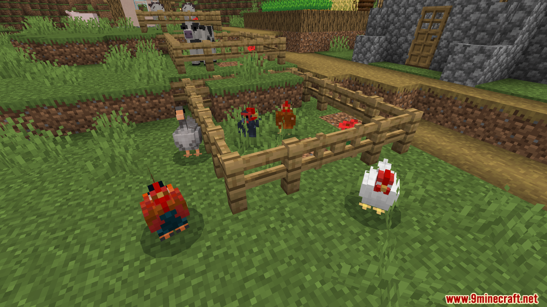 Better Farm Animals Texture Pack Screenshot 5 several chickens with updated realistic models and varied textures inside a wooden fence