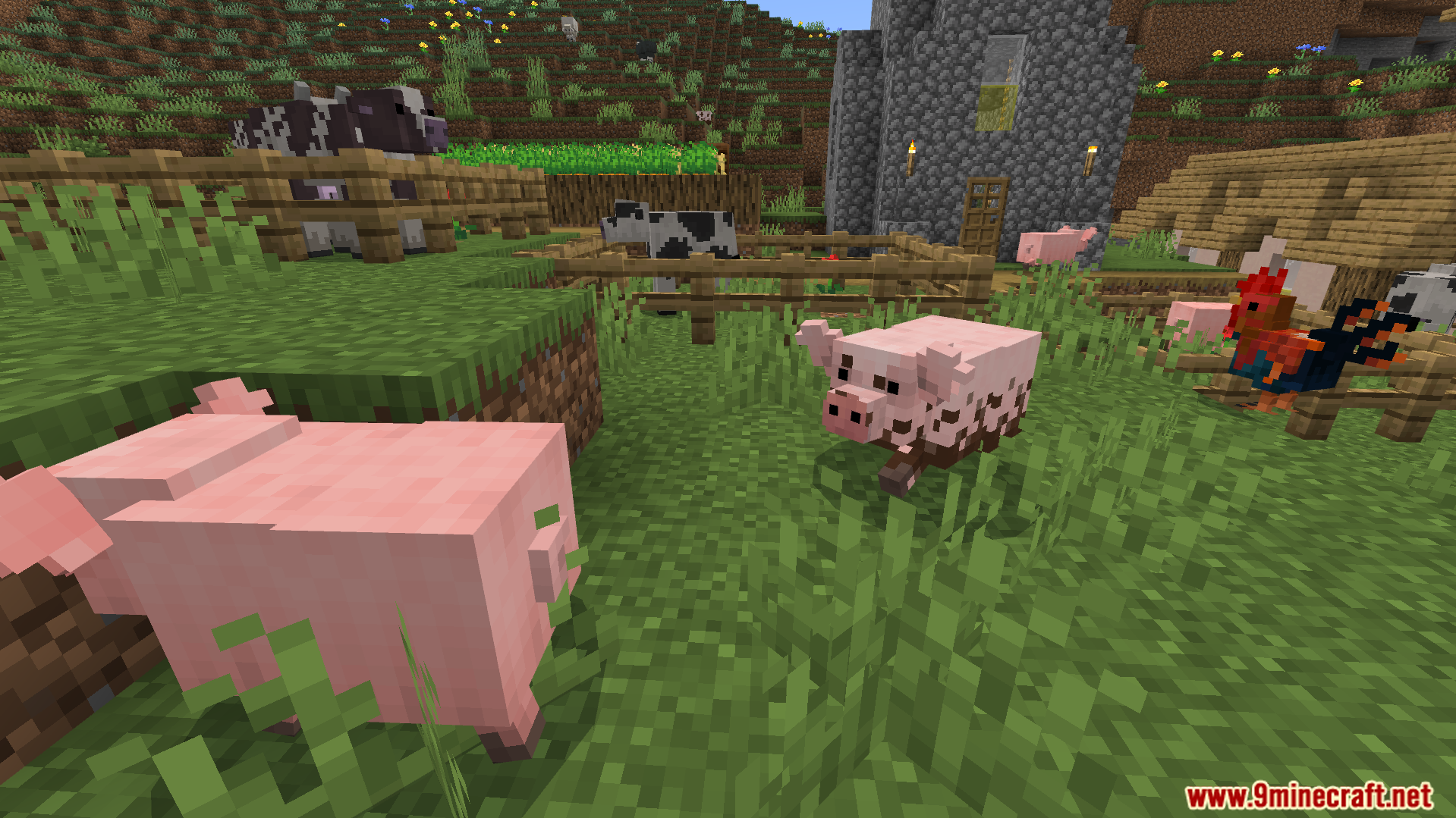 Better Farm Animals Texture Pack Screenshot 6 updated pig models with different texture varieties walking near a fenced cow area