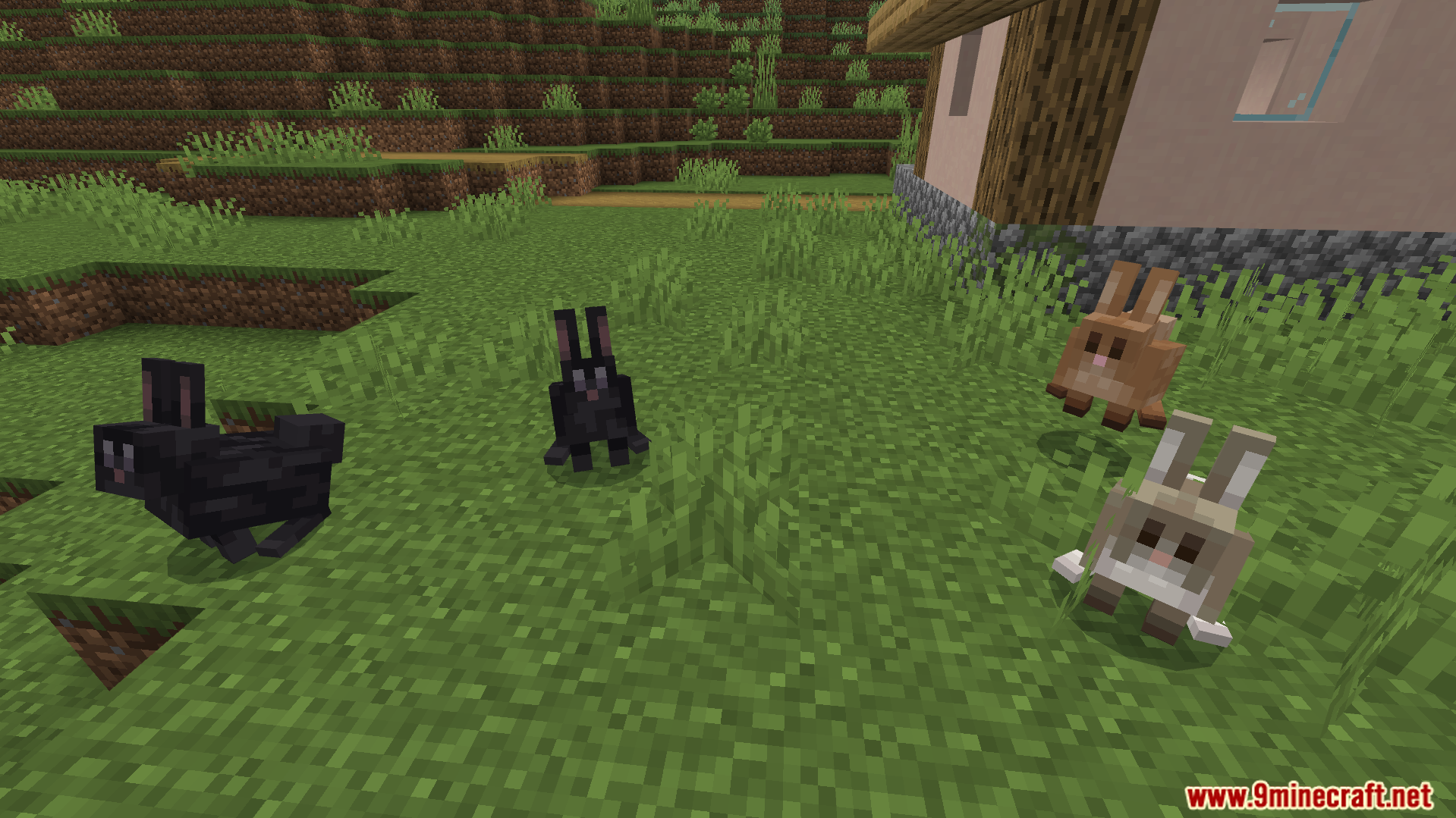 Better Farm Animals Texture Pack Screenshot 8 rabbits with fresh new looks and different texture varieties in a field