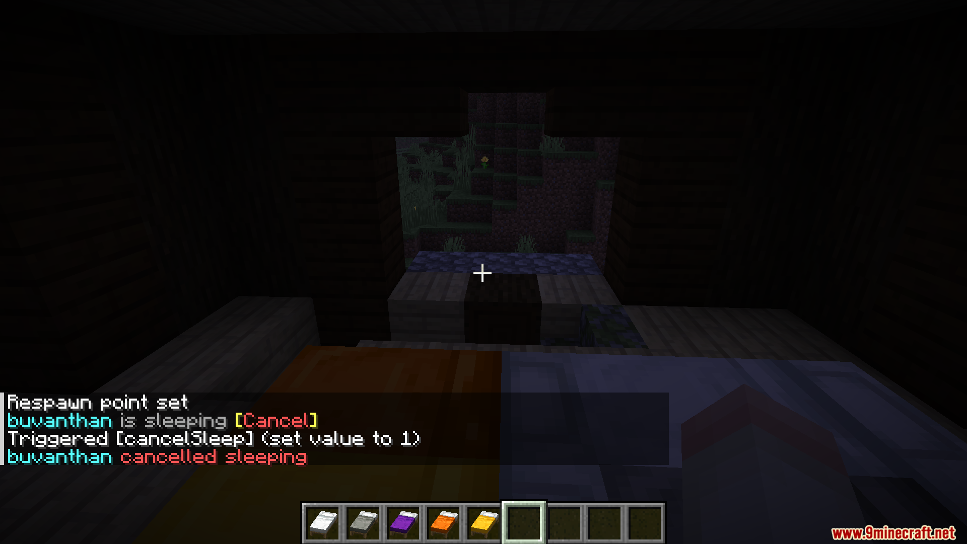 Better Multiplayer Sleep mod lets players cancel sleeping