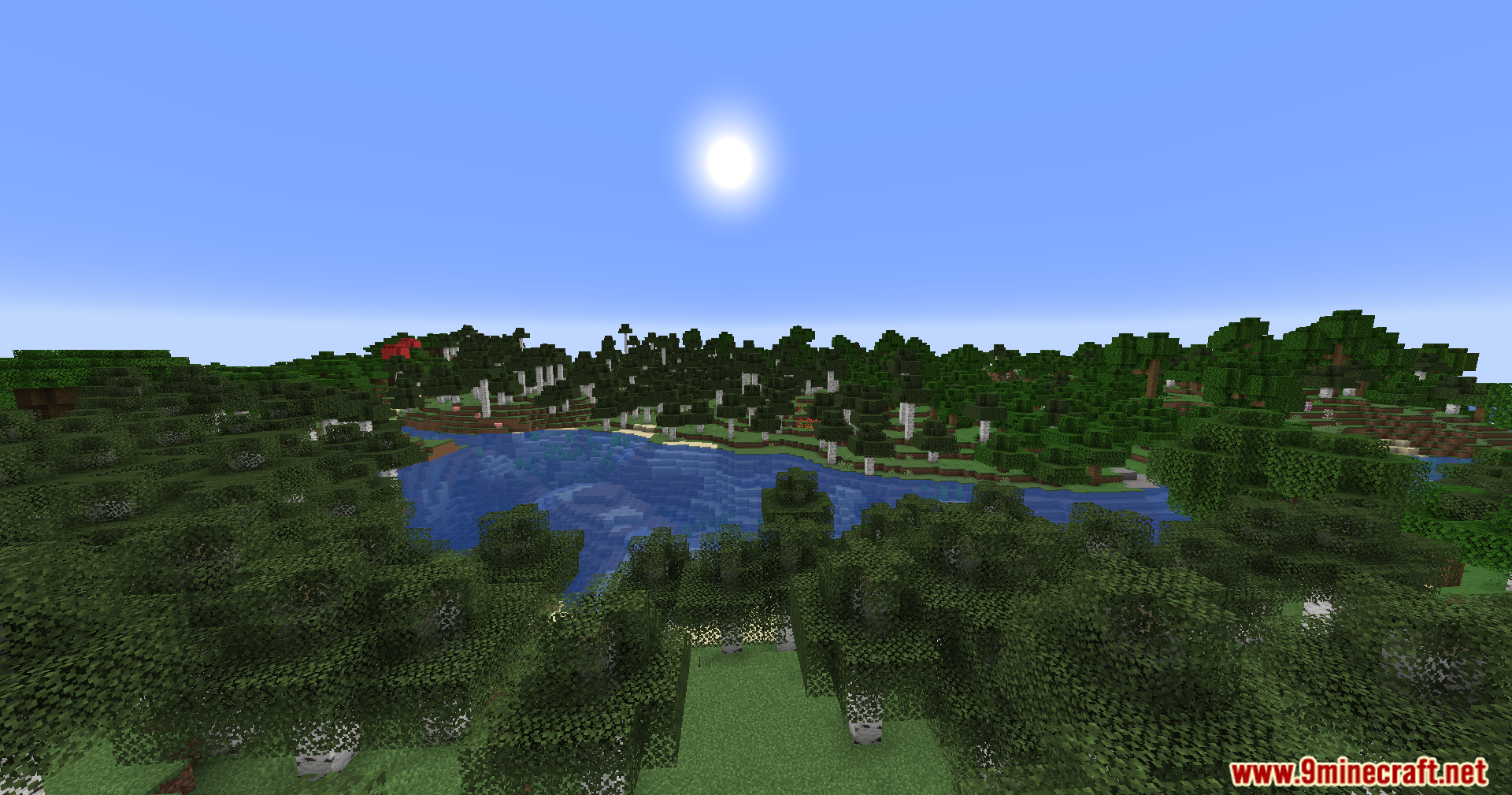 Expansive view of a lake surrounded by dense forest