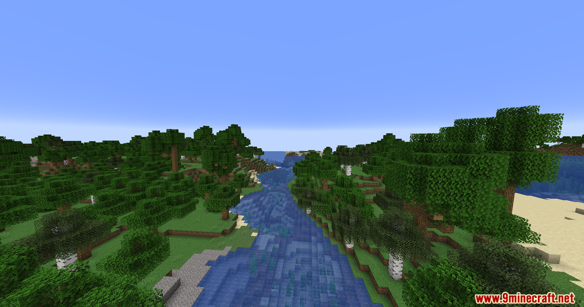 A wide river flowing through a dense forest to the ocean