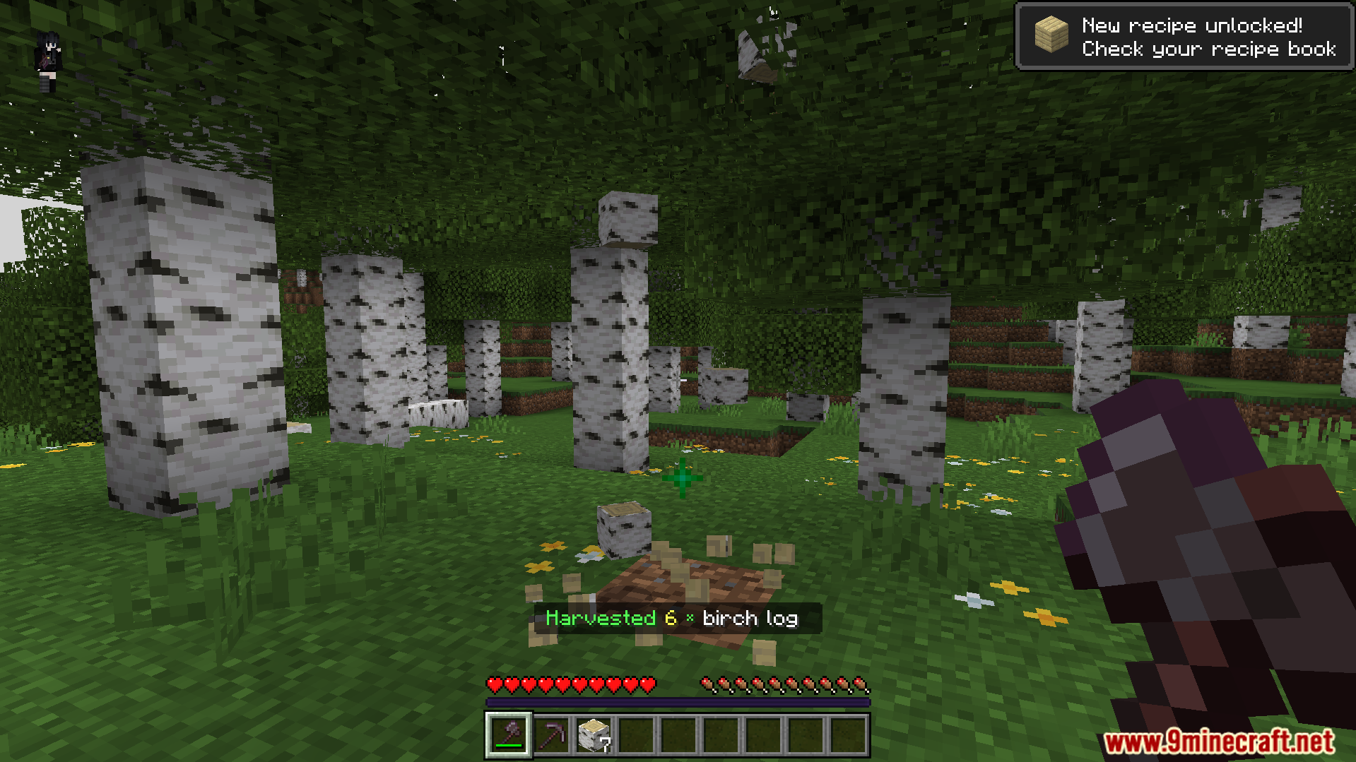 Better Vein Miner and Tree Cutter Addon Screenshot 2 player chopping down an entire birch tree at once dropping multiple logs