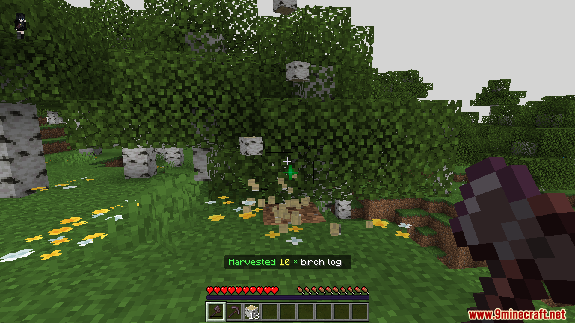 Better Vein Miner and Tree Cutter Addon Screenshot 3 player chopping down entire birch tree at once gathering wood resources much faster