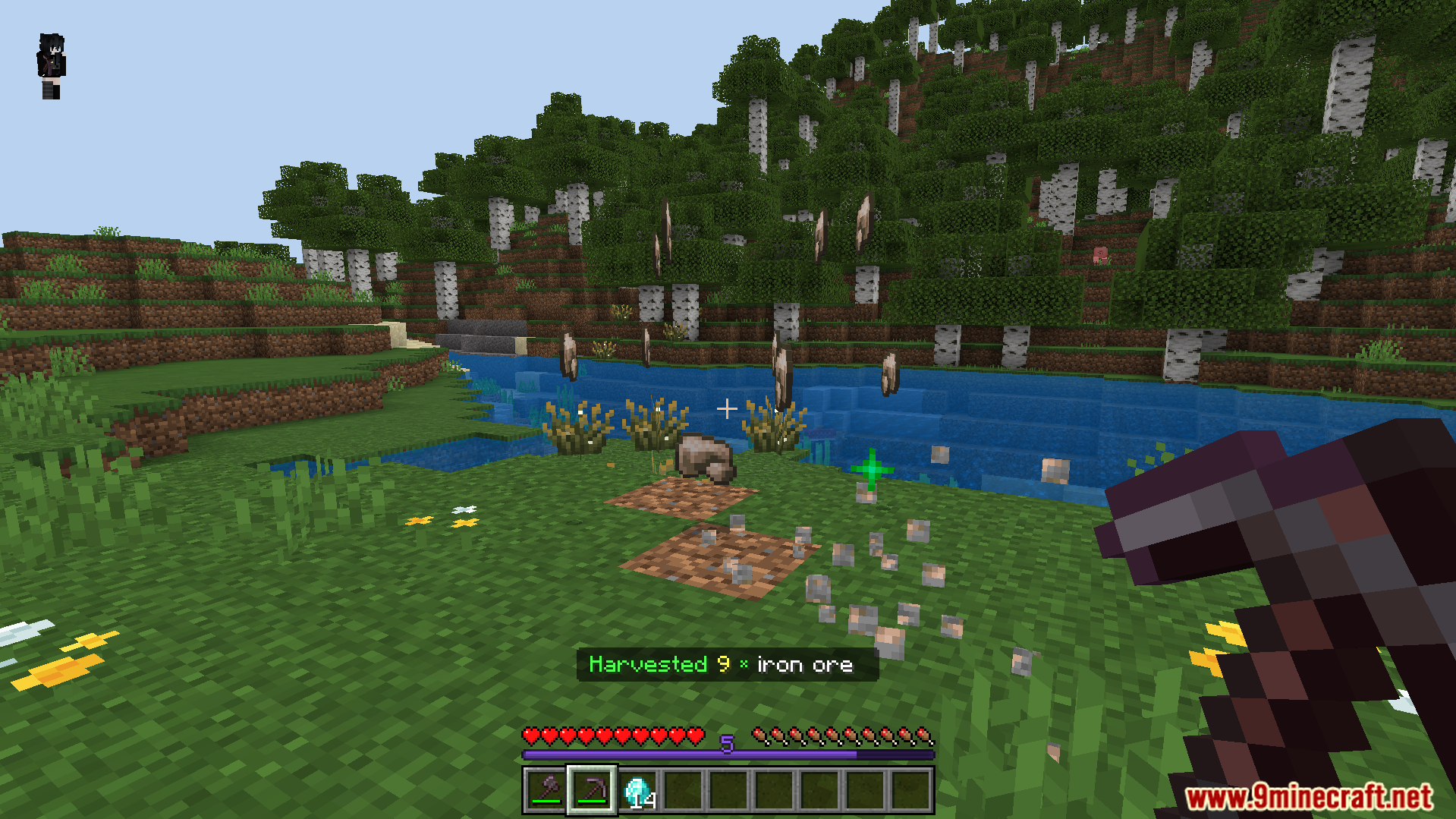 Better Vein Miner and Tree Cutter Addon Screenshot 8 All connected iron ores mined at once dropping raw iron and experience