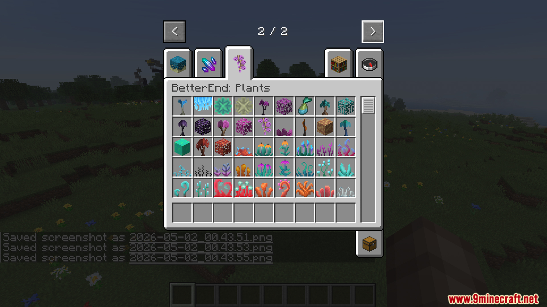 BetterEnd mod adds many new colorful plant blocks