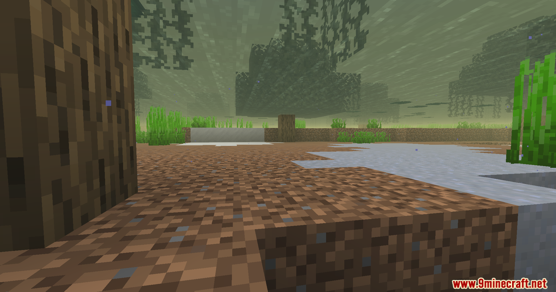 Beyond Oxygen Fix Mod Screenshot 5 An underwater view of a murky swamp biome with trees