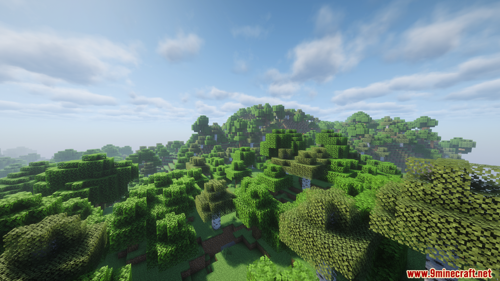 A lush and dense forest covering rolling green hills