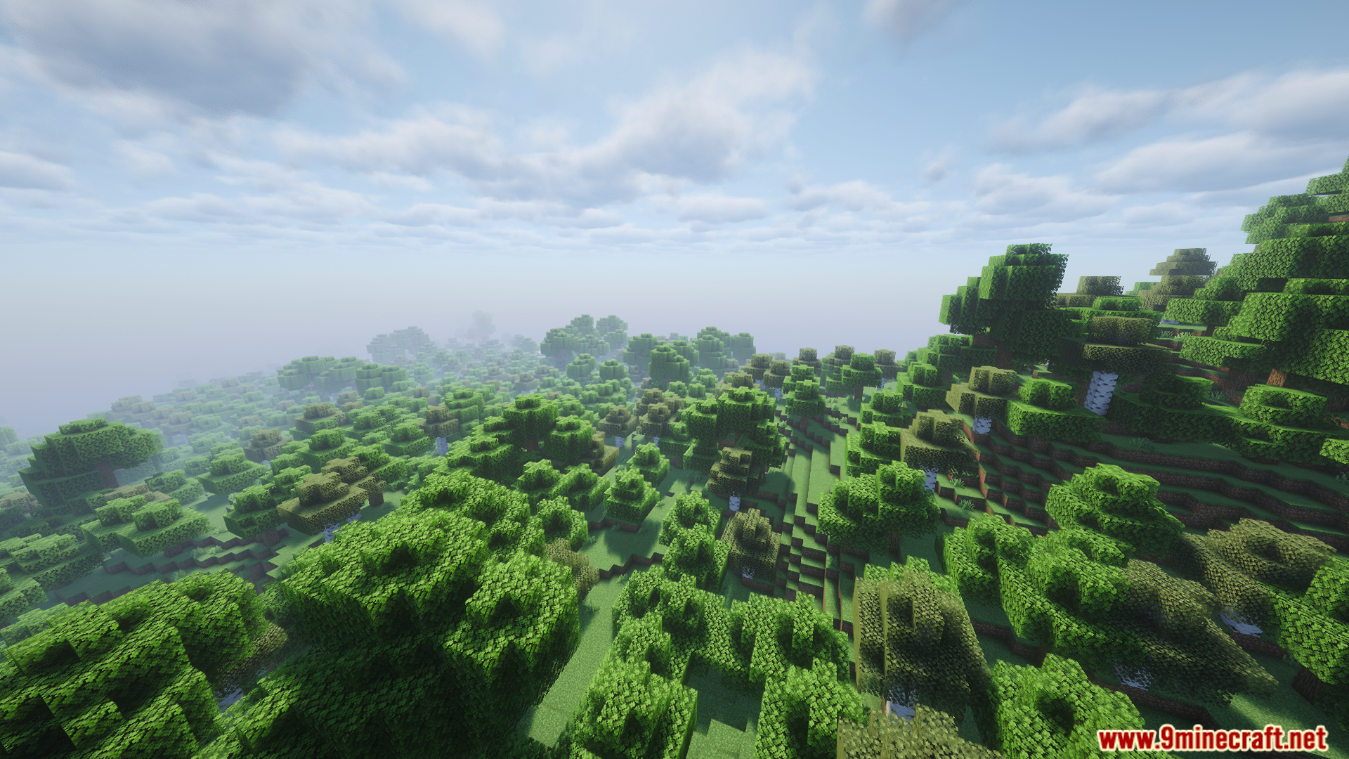 Expansive view of a lush green forest with hills