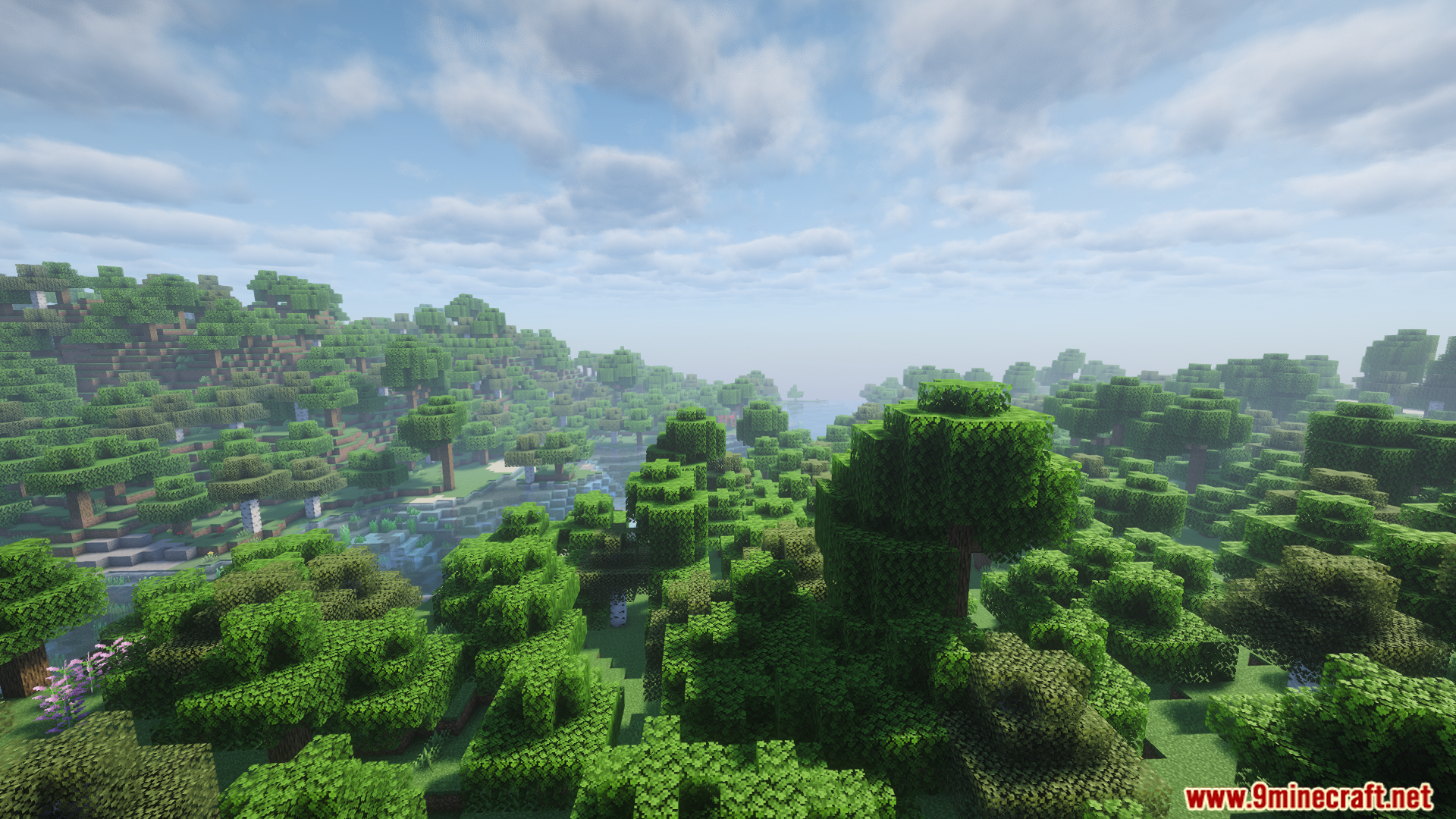 A dense forest landscape with a river running through