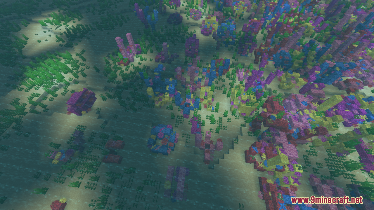 A vibrant coral reef seen through the clear ocean water
