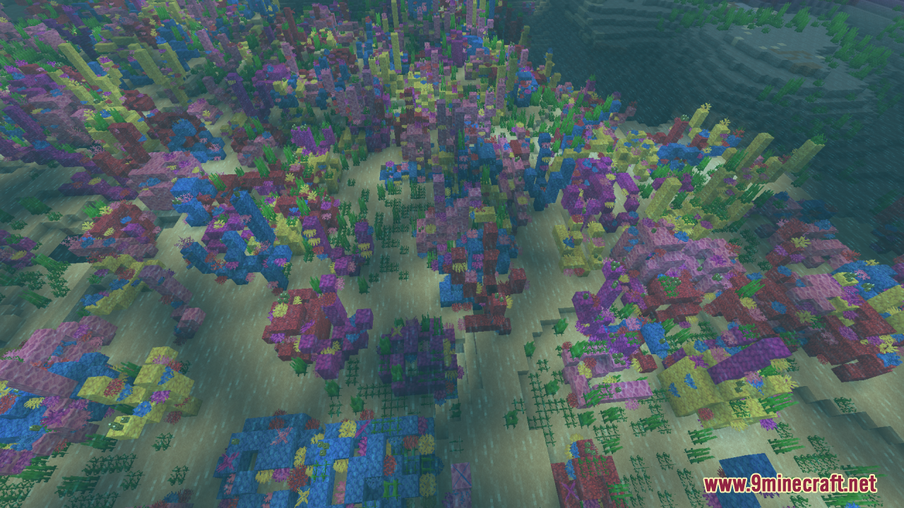 A wide view of a colorful and dense coral biome