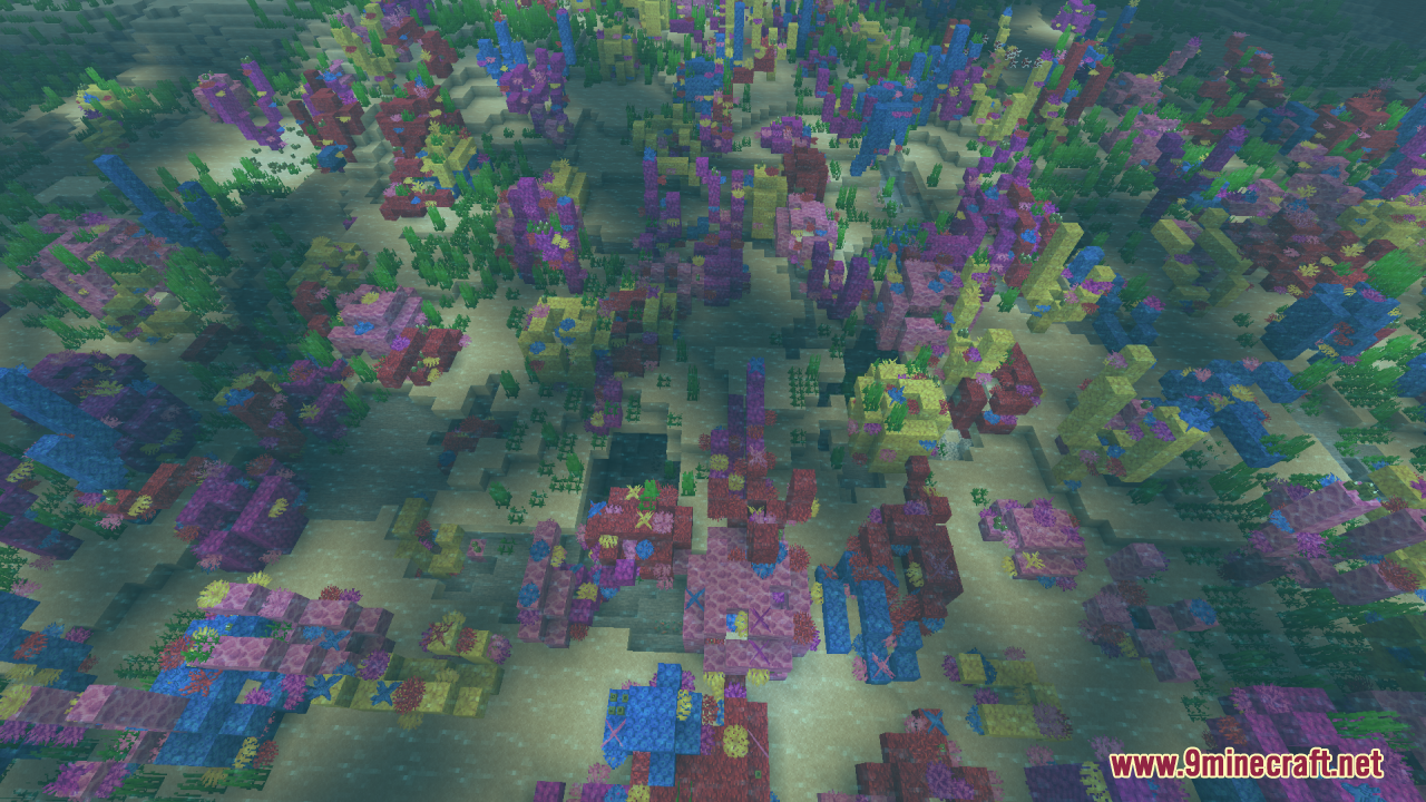 Looking down at sprawling coral formations on the ocean floor