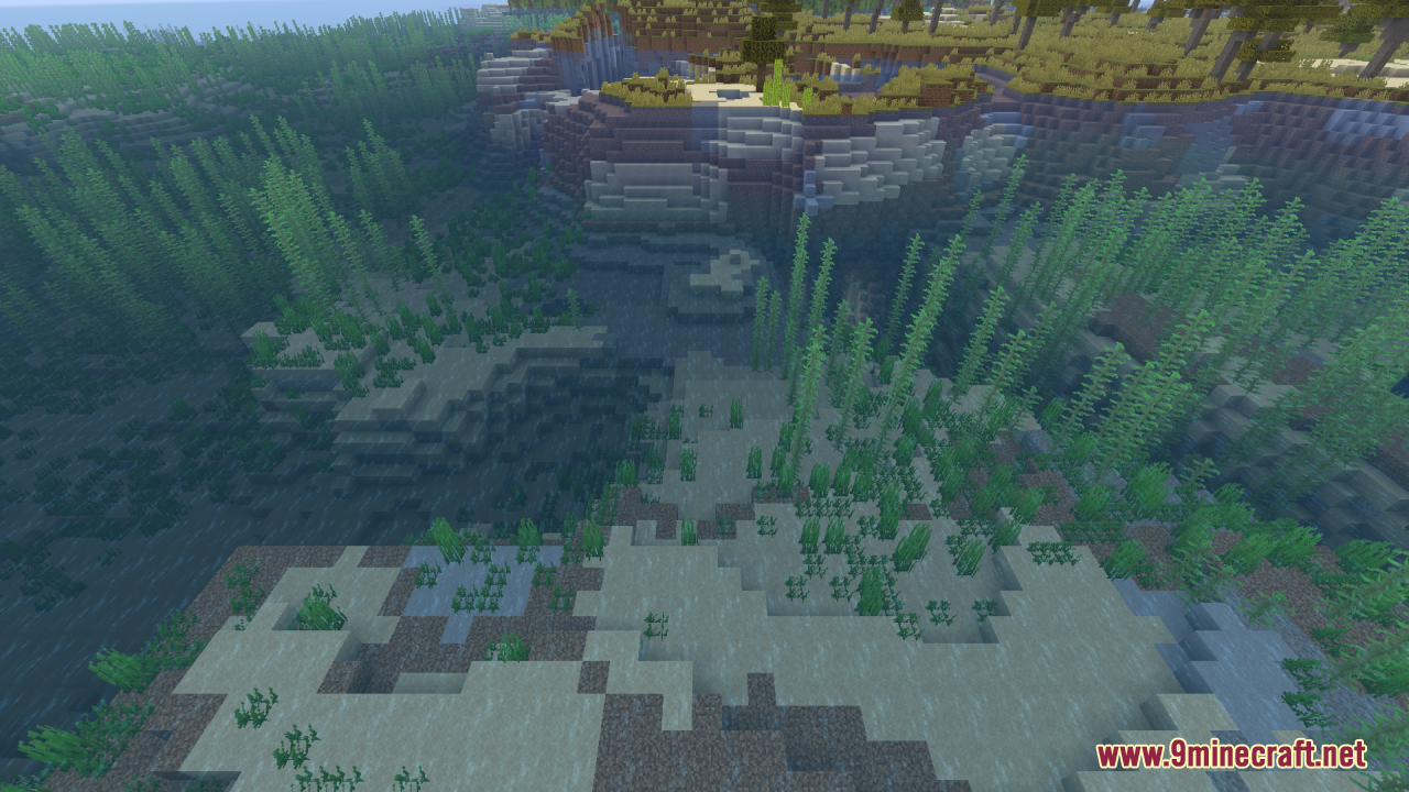 Transparent water shows the underwater landscape near the shore