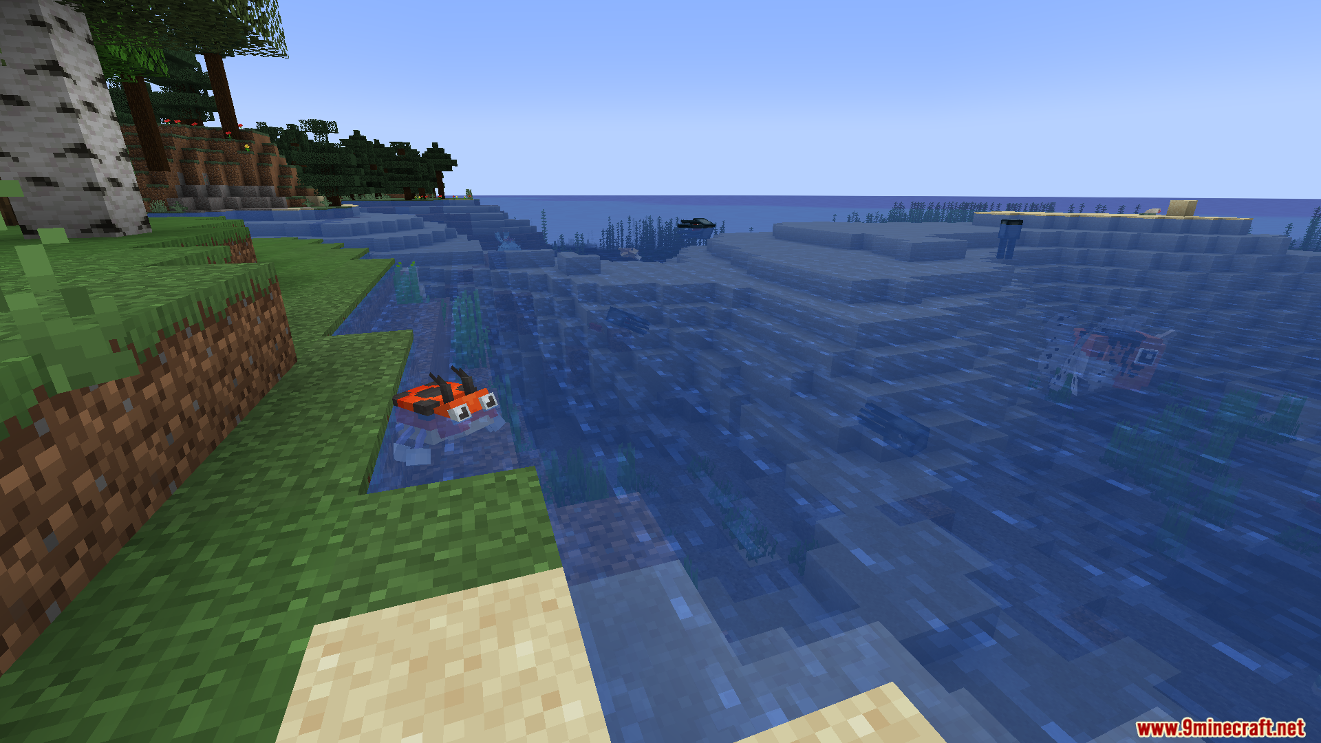 A red Magikarp Pokemon swimming in the shallow water