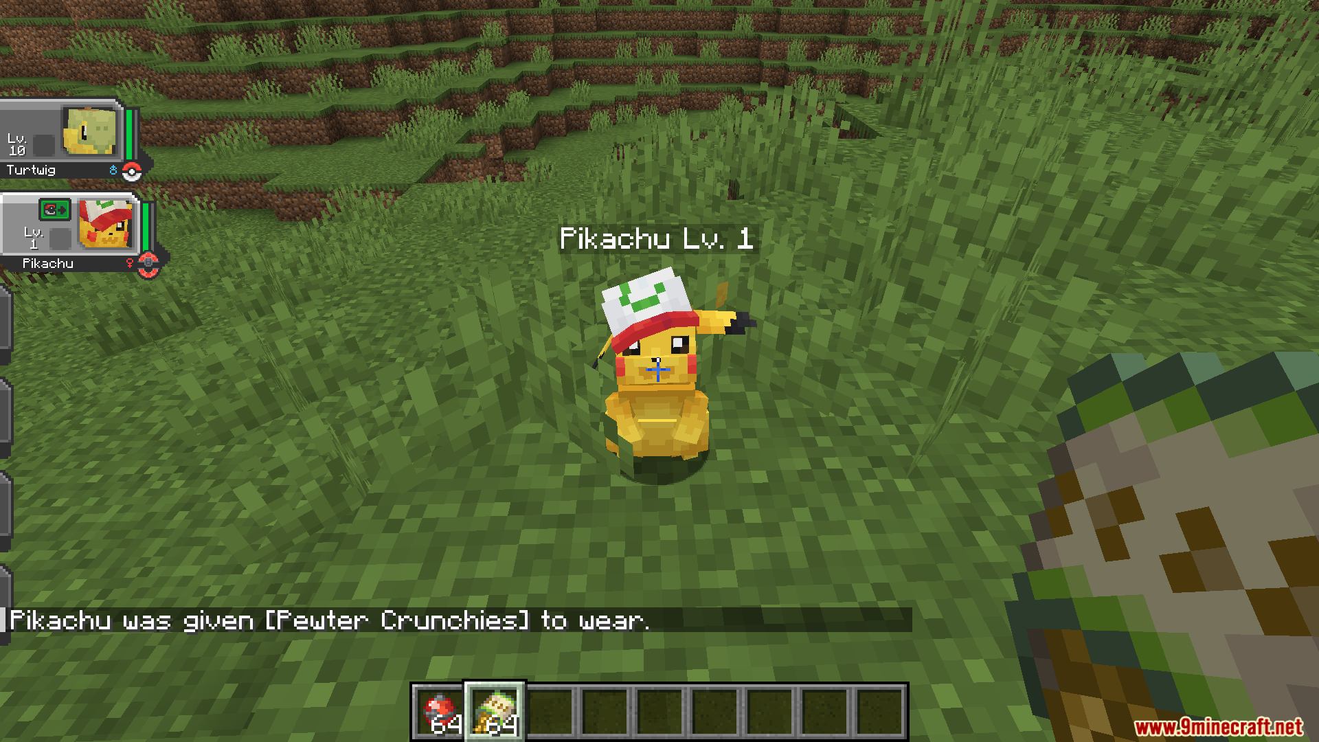 Giving a Pikachu Pewter Crunchies to wear a hat