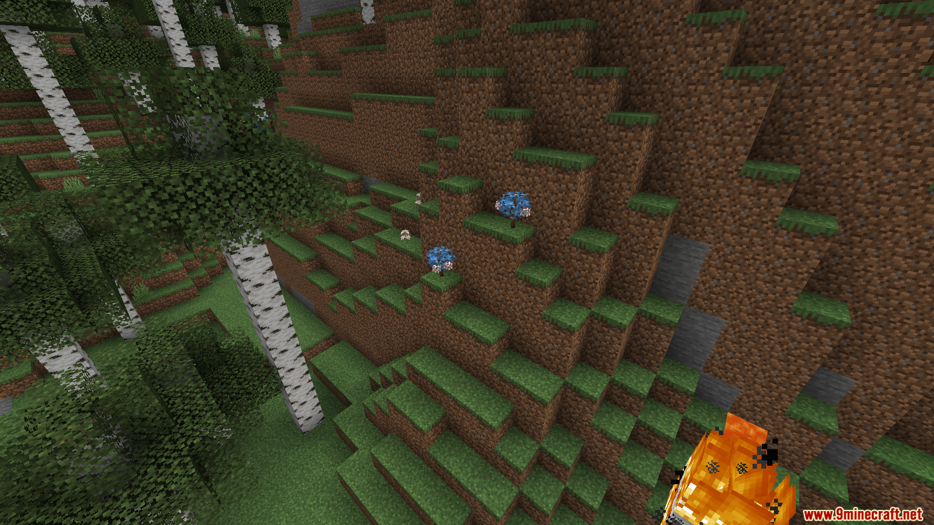 Blue berry bushes growing on a hillside with a campfire pot nearby