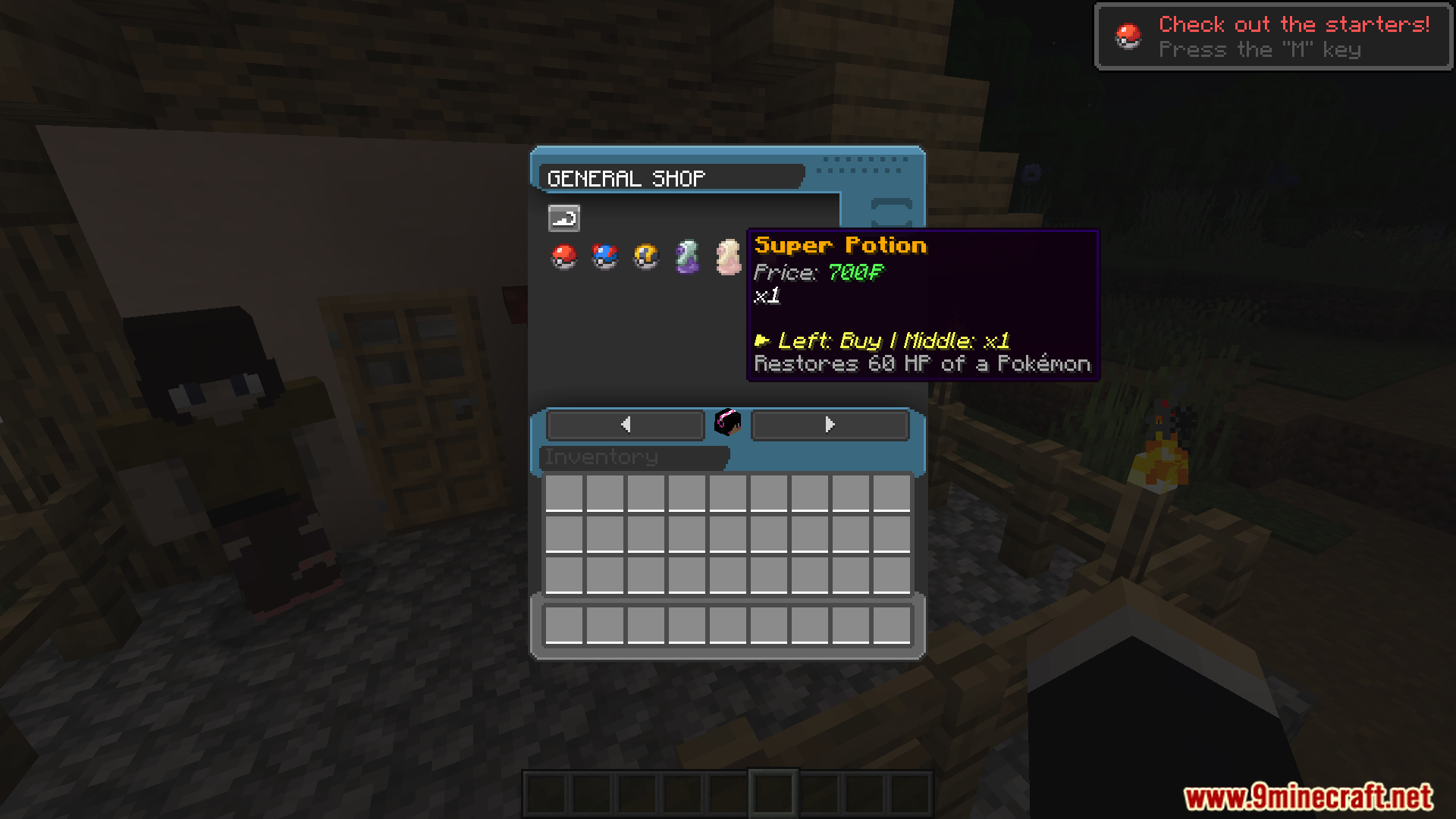 Super Potion item for sale in the general shop
