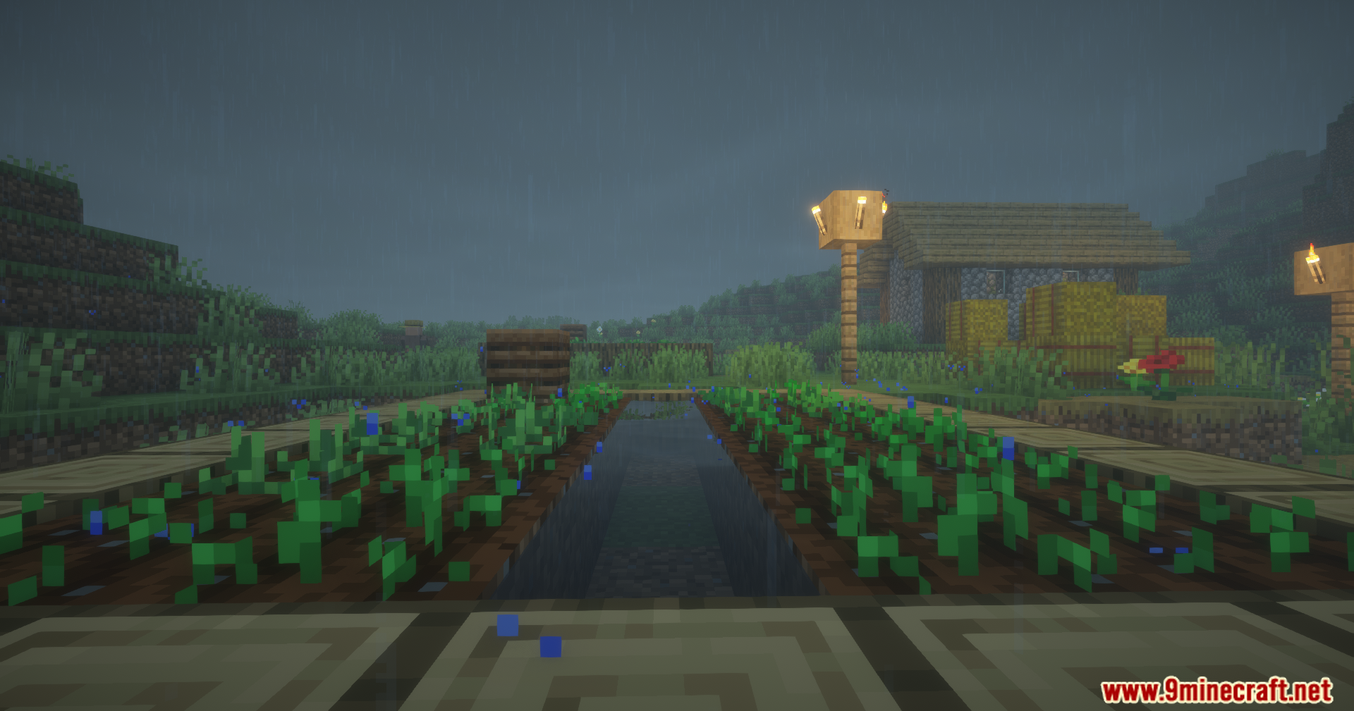 Cool Rain Reforged Mod Screenshot 8 Raindrops splashing into a farm water trench surrounded by planted crops