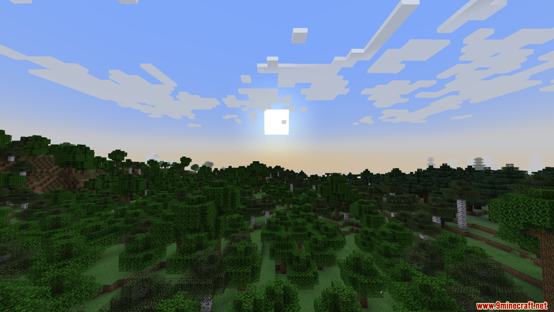 A scenic view of a vast Minecraft forest biome