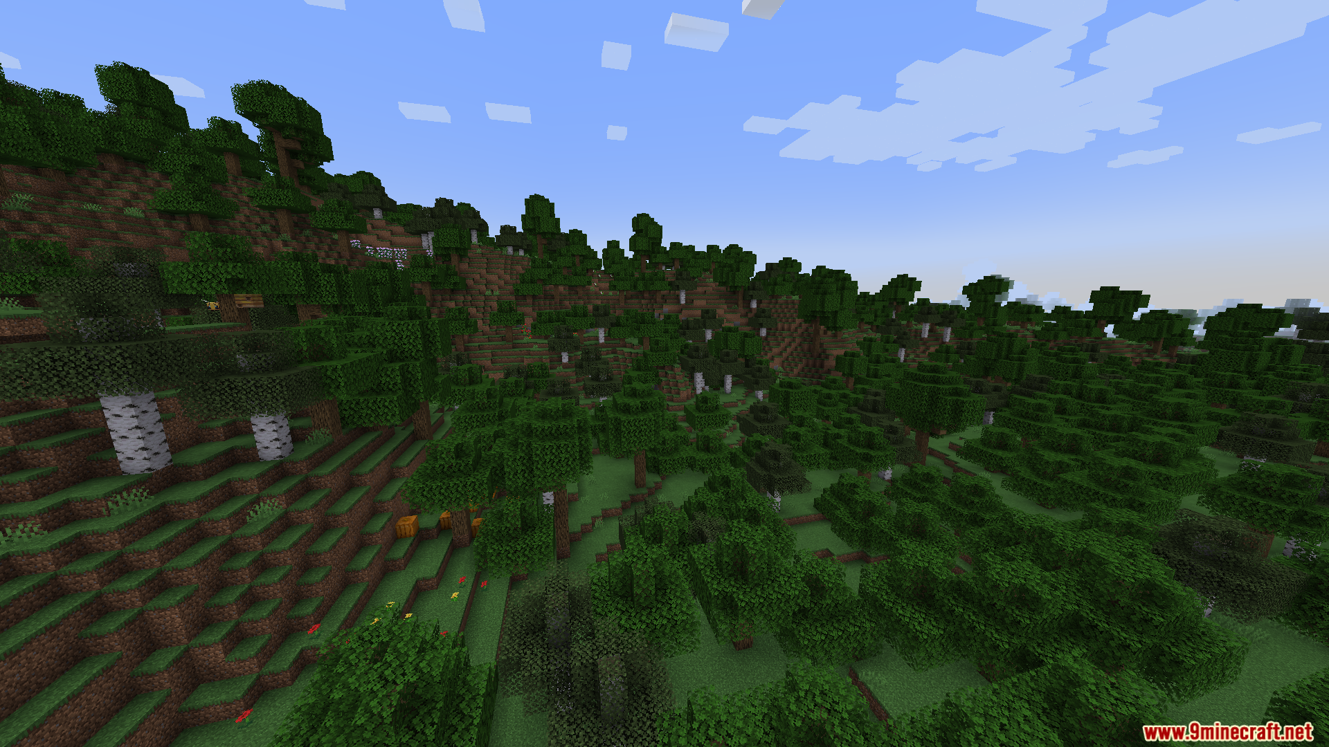 A lush green forest covering rolling hills and mountains