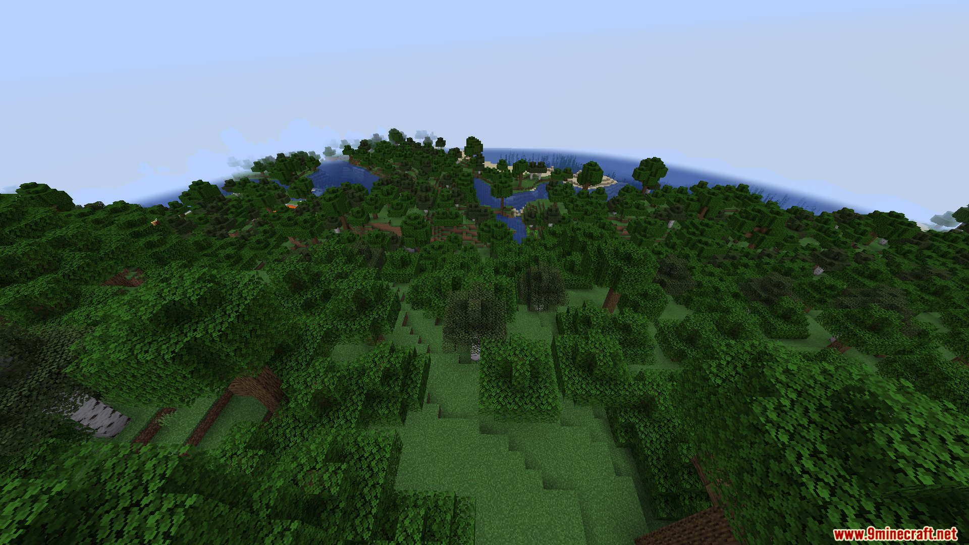 An aerial view of a dense forest biome near water