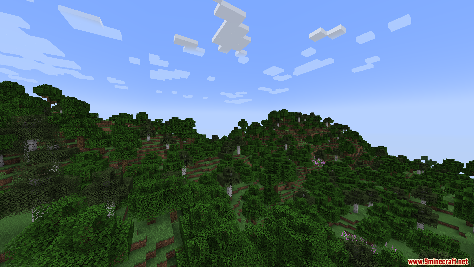 A vast, hilly forest with many oak and birch trees