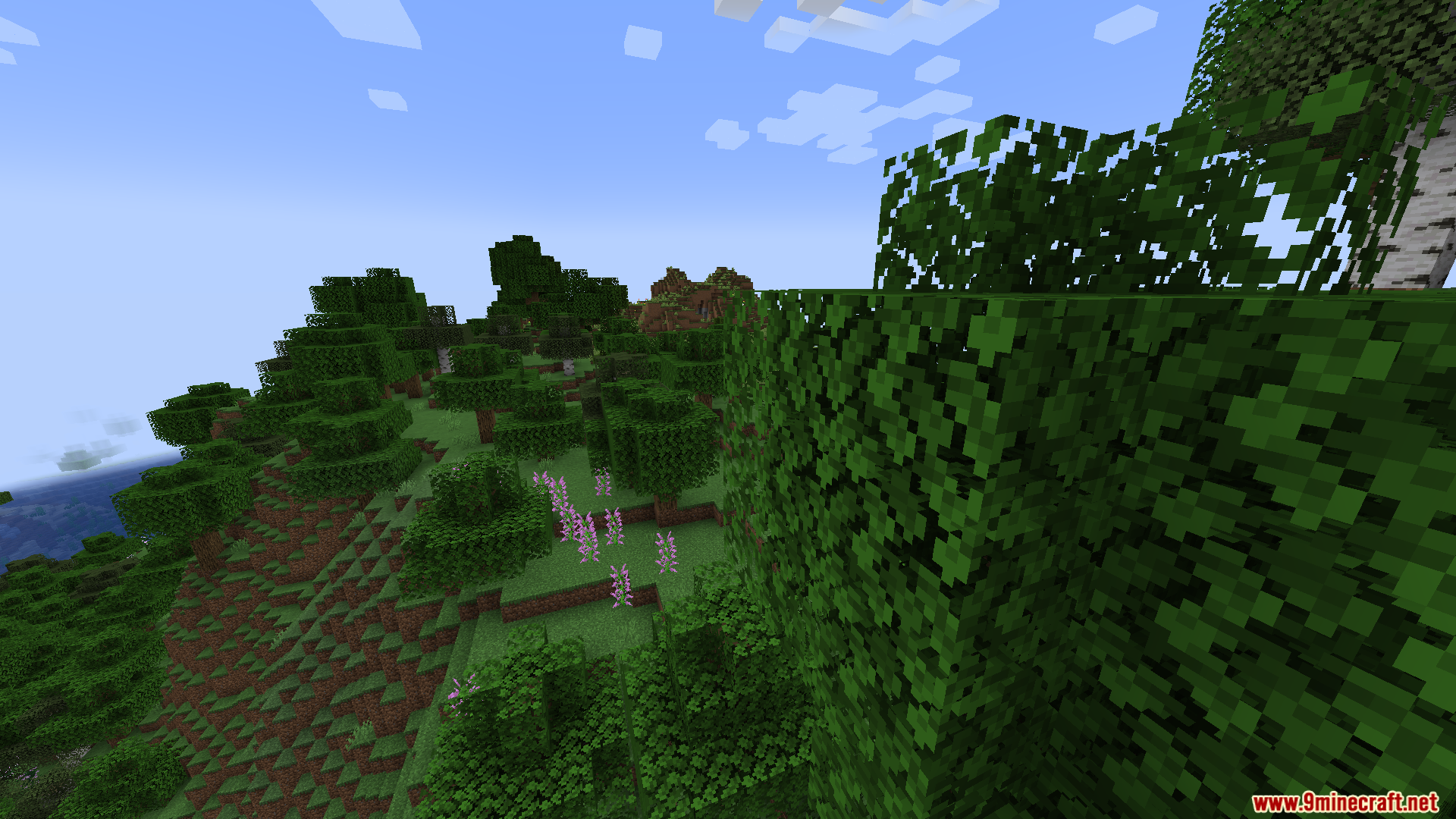 A close-up view of a lush forest with pink flowers
