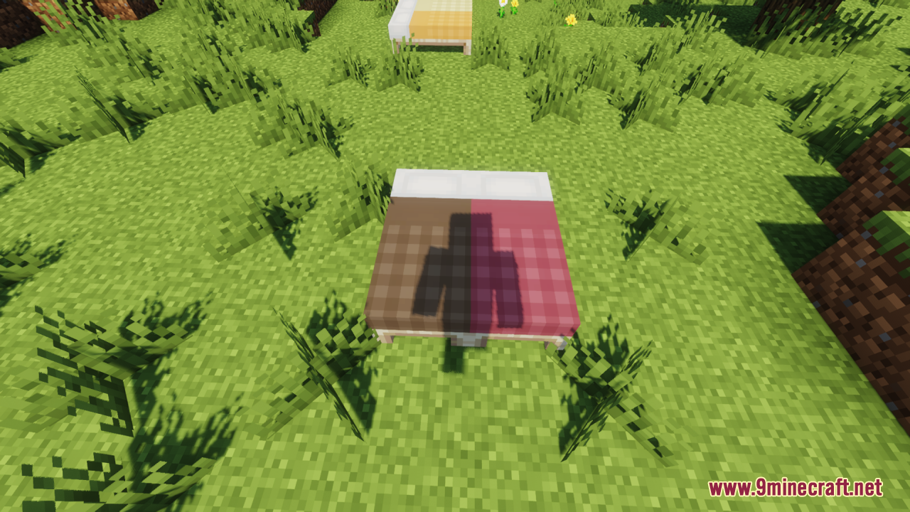 Cozy Nook Beds Resource Pack Screenshot 5 Player shadow on brown and red plaid beds in a grassy field