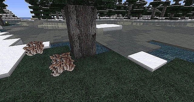 https://img3.9minecraft.net/TexturePack/Creativexs-realism-texture-pack.jpg