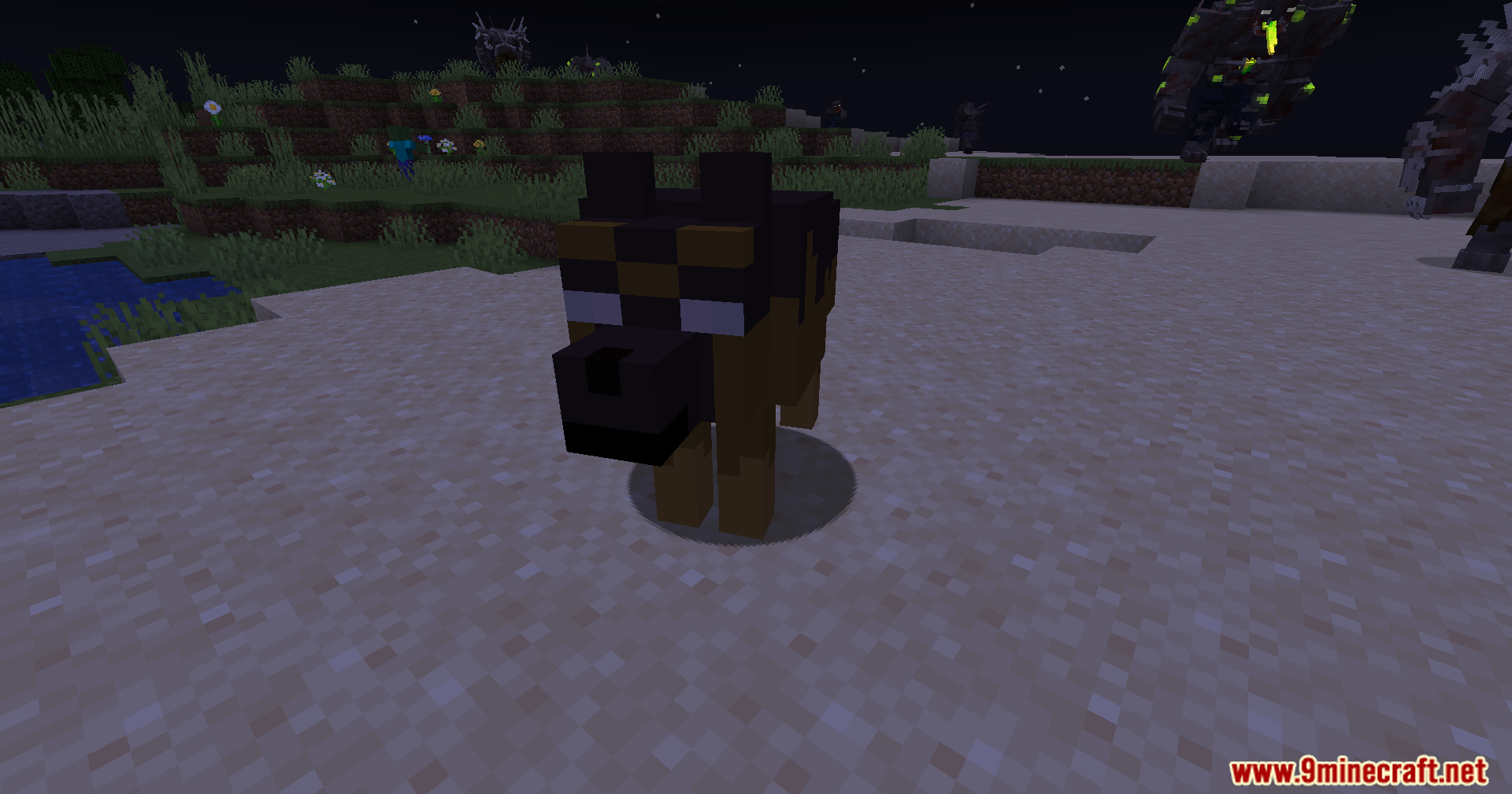 Custom feral dog mob standing on sand at night