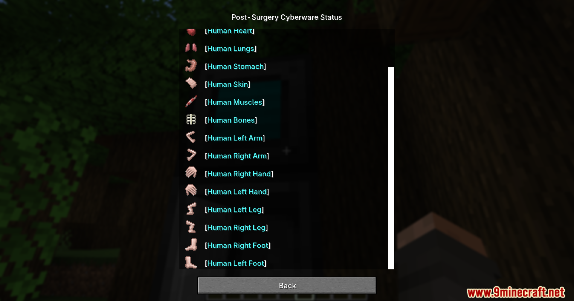 Player viewing post surgery status menu listing human body parts