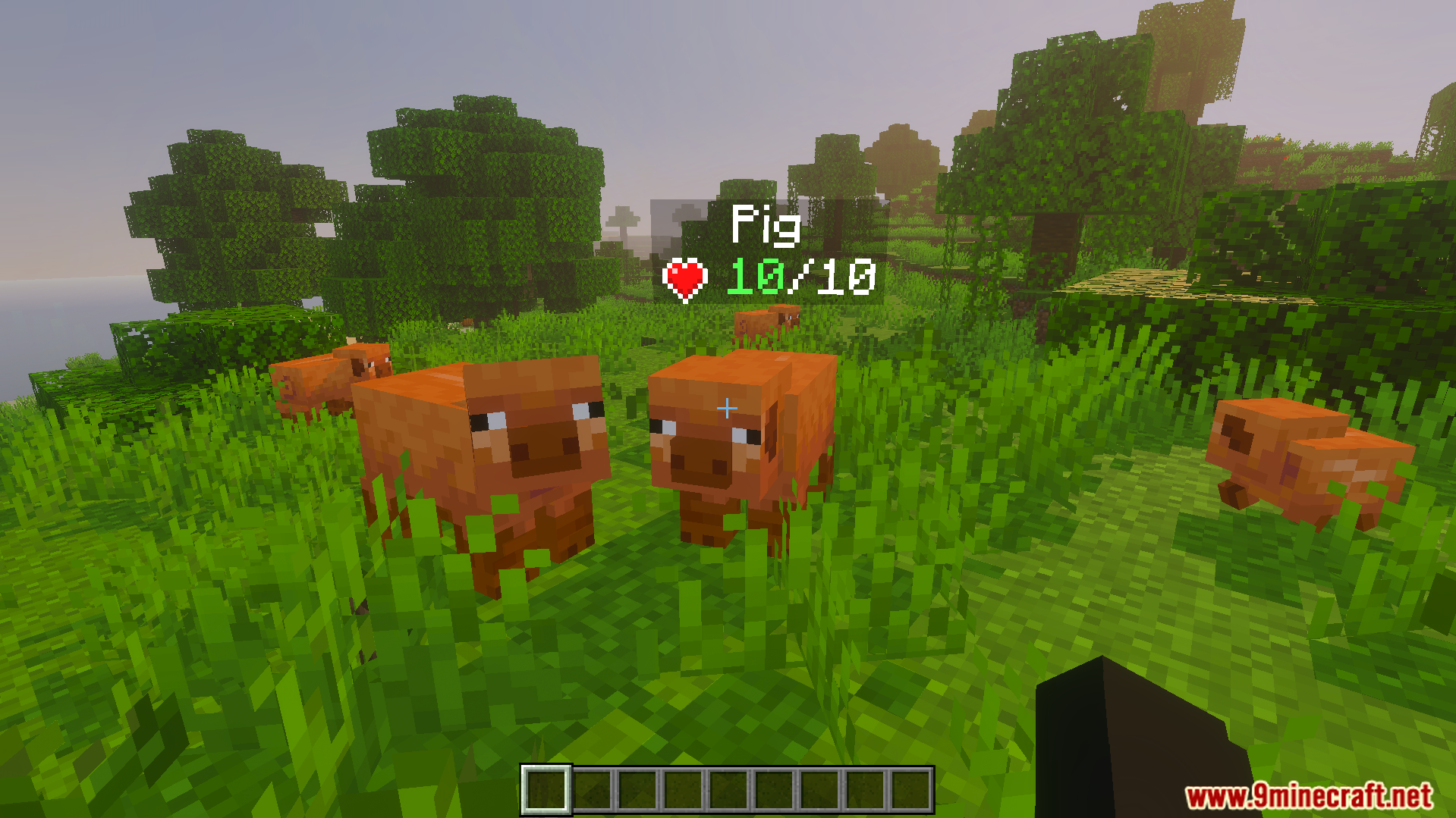 DHealth and Damage Bar Addon Screenshot 2 Pigs in a grassy field with a health indicator showing full health