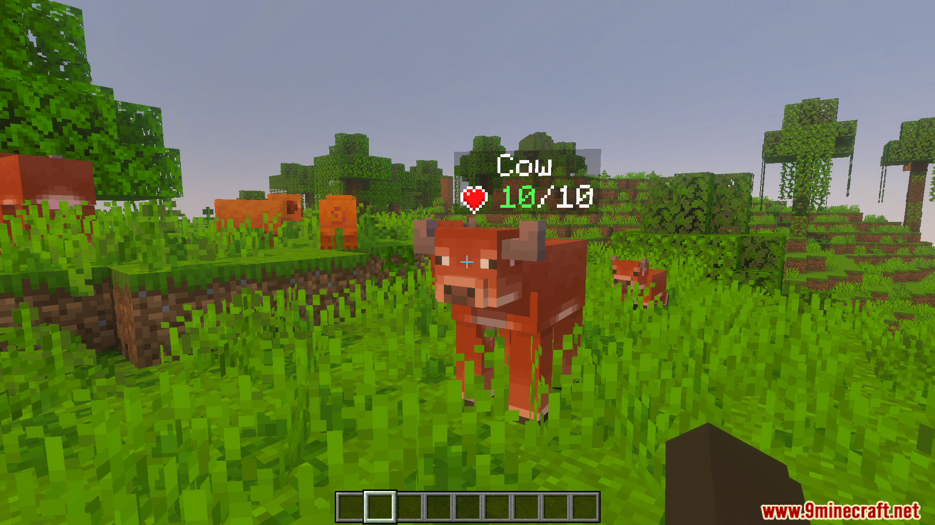 DHealth and Damage Bar Addon Screenshot 3 DHealth and Damage Bar Addon displays a live health indicator above a cow