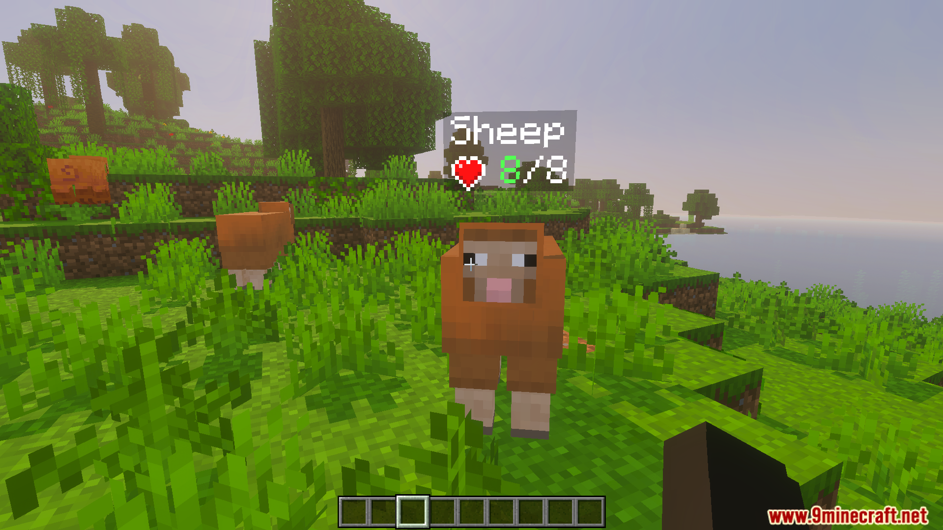 DHealth and Damage Bar Addon Screenshot 4 A sheep in a field with a health bar showing eight health points