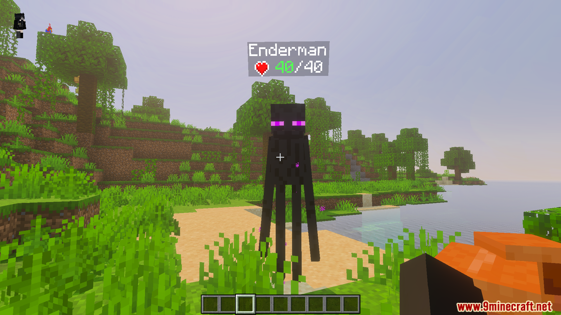 DHealth and Damage Bar Addon Screenshot 6 Live health indicator showing exact health points above an enderman on a beach