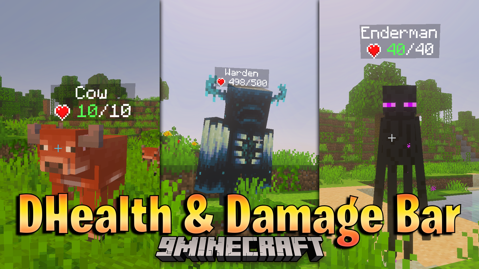 DHealth and Damage Bar Addon